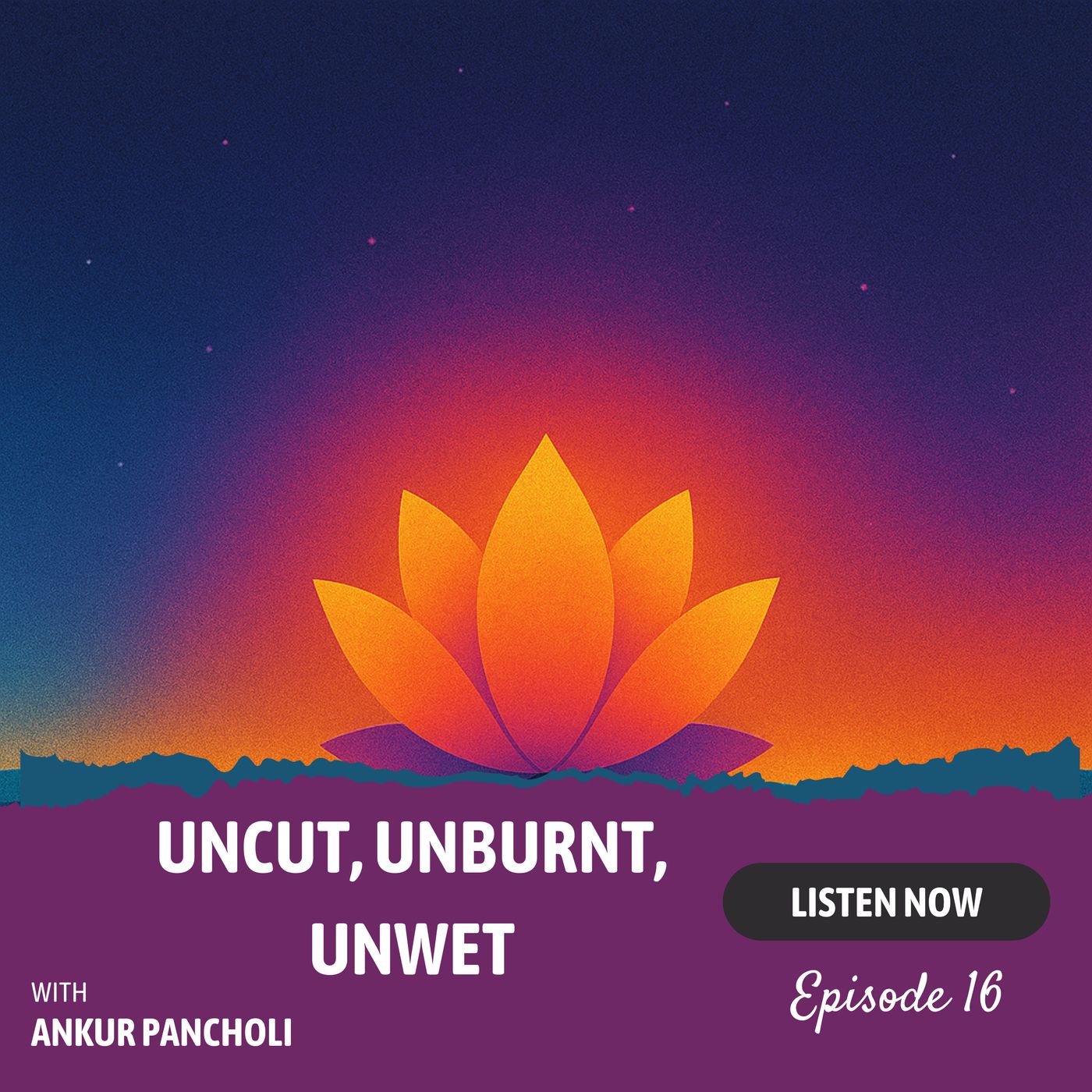 Episode 16: Uncut, Unburnt, Unwet — The Deathless Self and Fearless Living in the Bhagavad Gita episode artwork