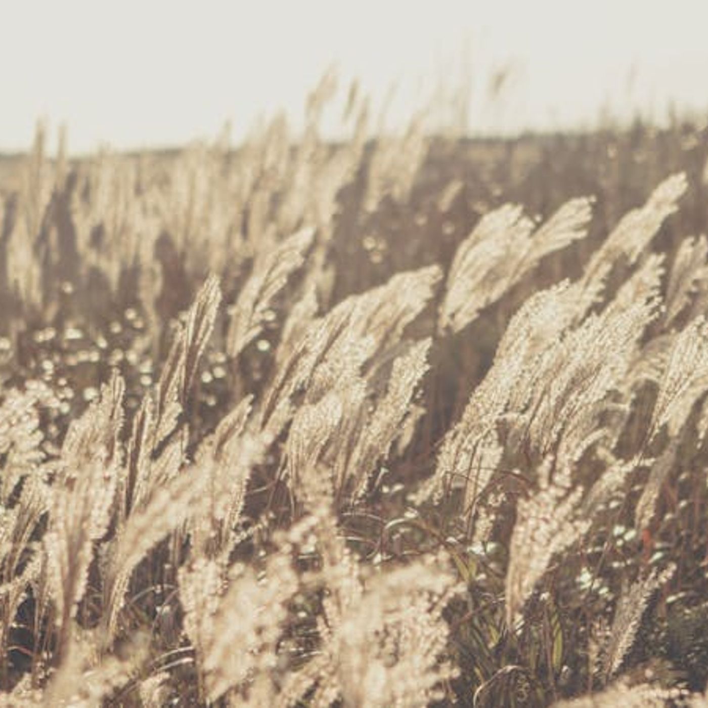 Do Angels Walk Among Us Today?