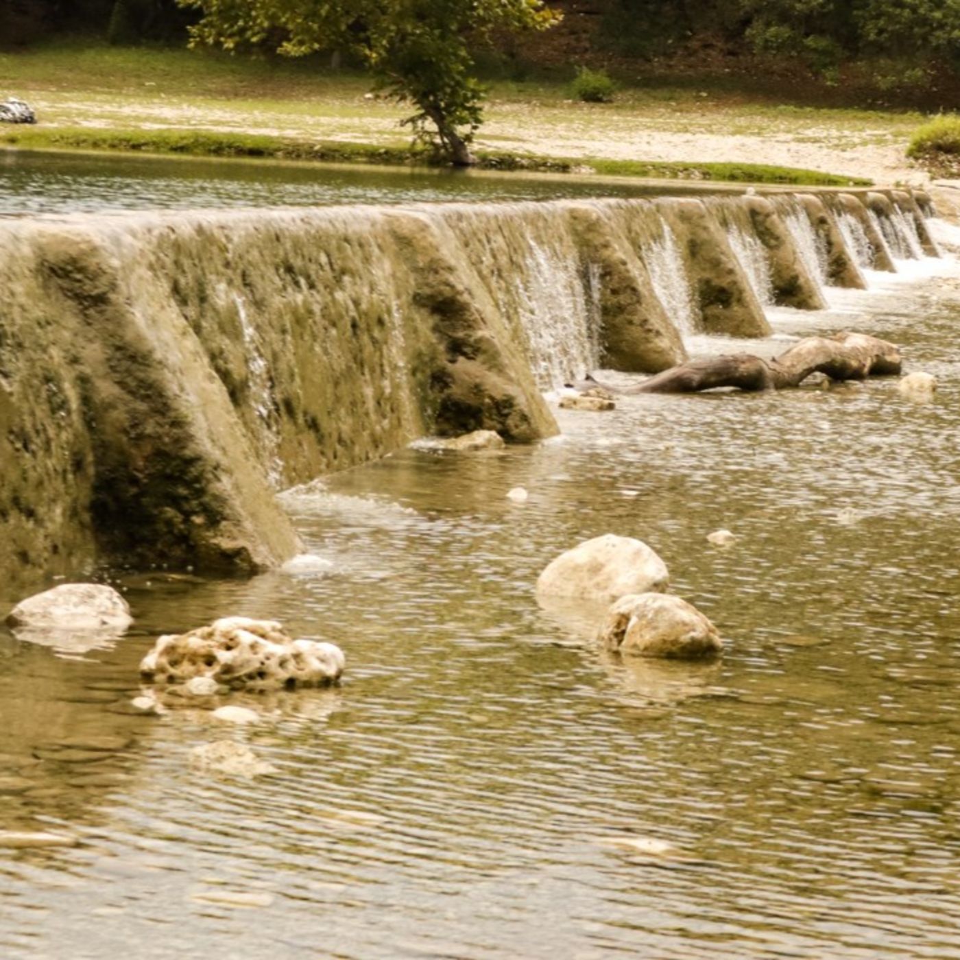 9 hrs of Frio River flowing with frogs croaking in background