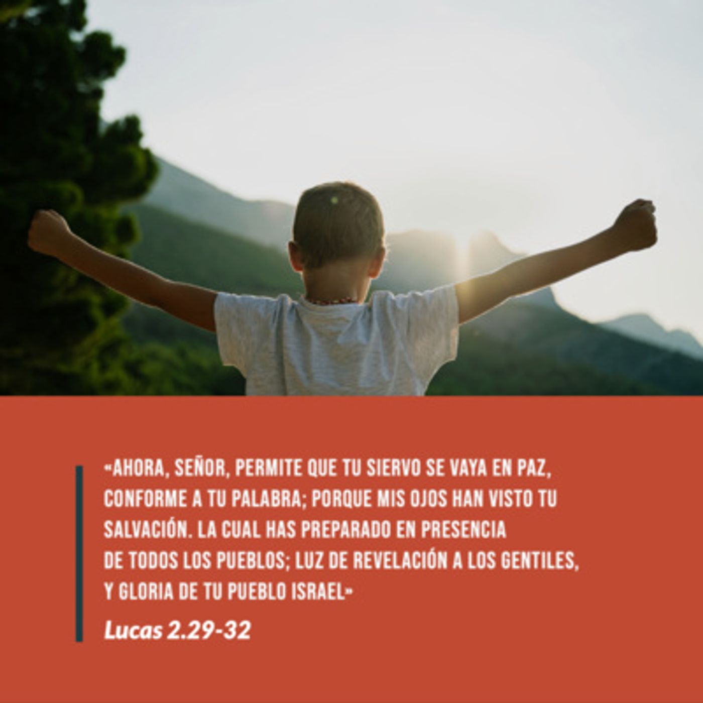Reflexiones