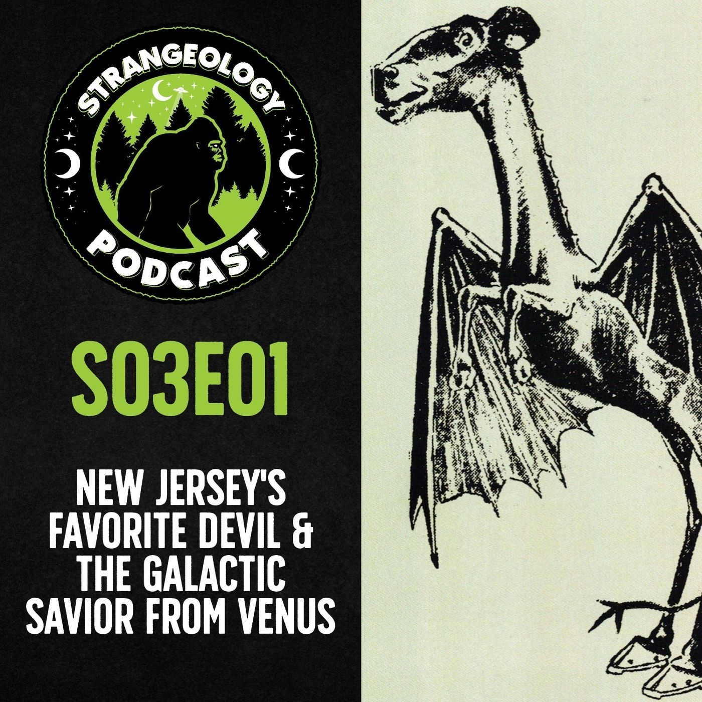 Strangeology Podcast: Exploring the World of Weird
