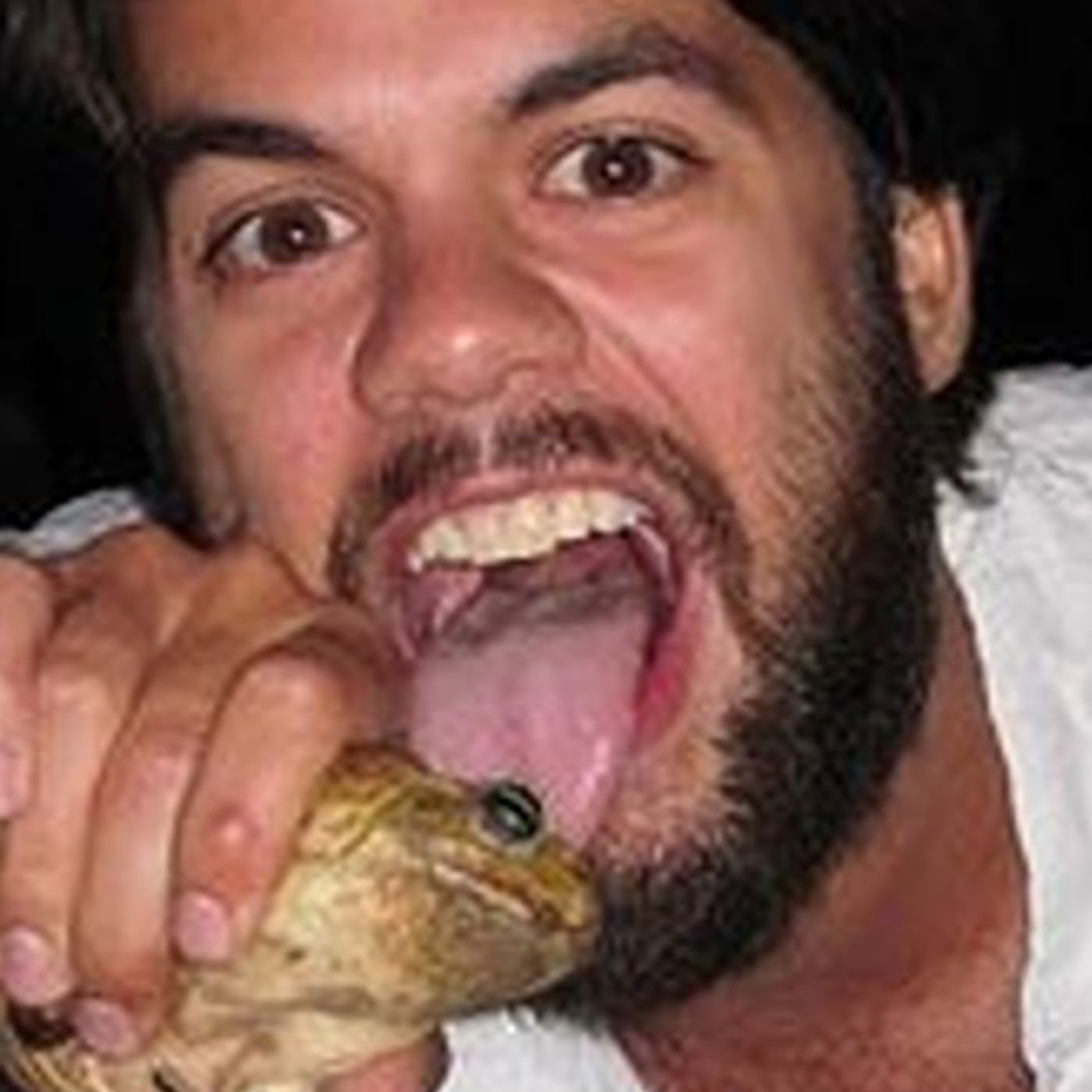 Toxic Toad Licking, Smart Bed Snafu, and A Slow Check-Out Stabbing