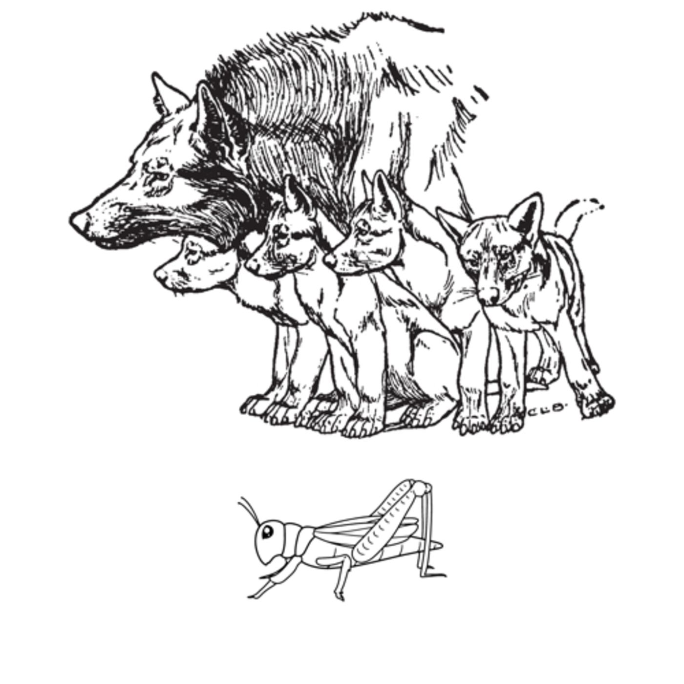 EL GRILLO LÓPEZ Y LA ALIANZA CON LOS LOBOS DE ASTURIAS