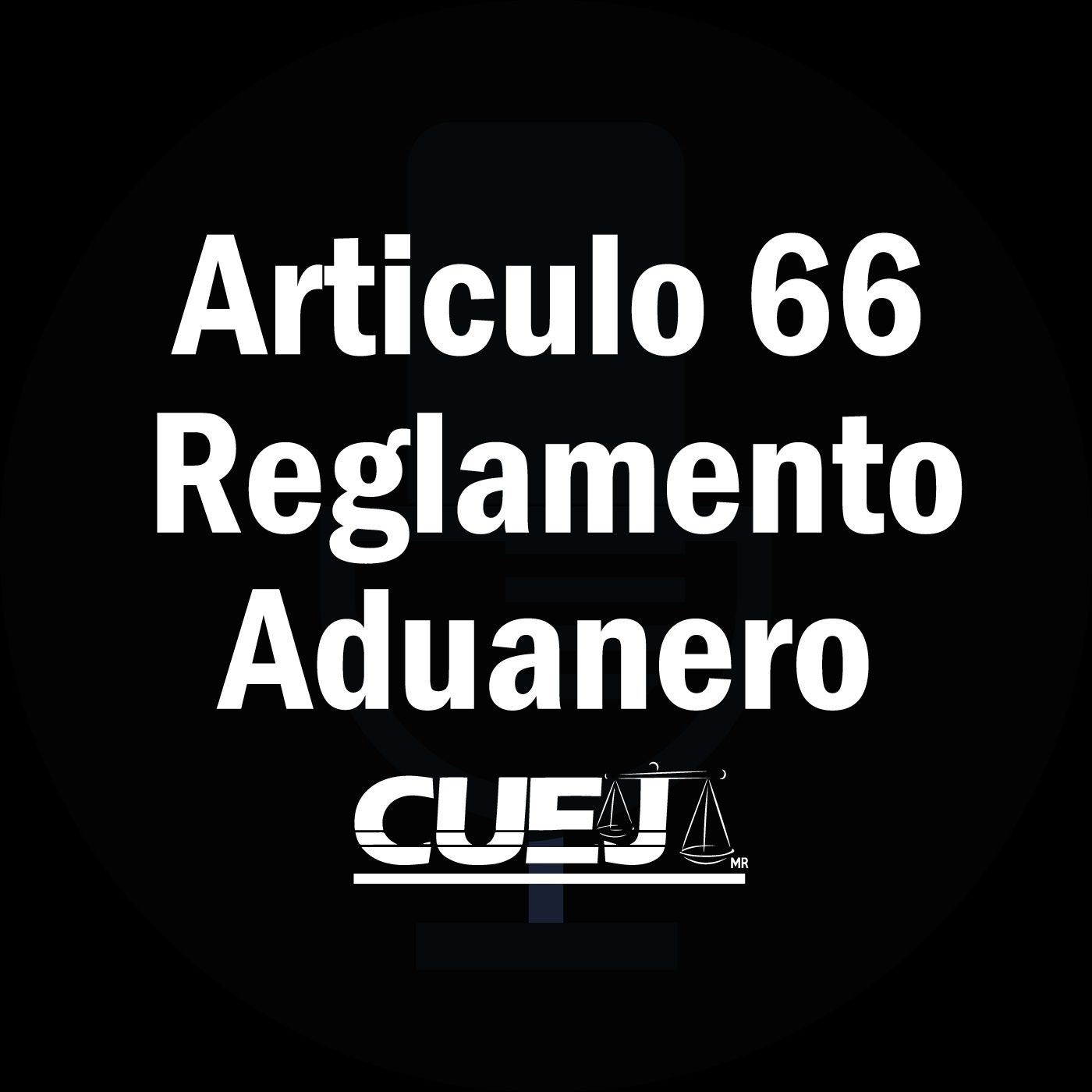 Reglamento de la ley aduanera