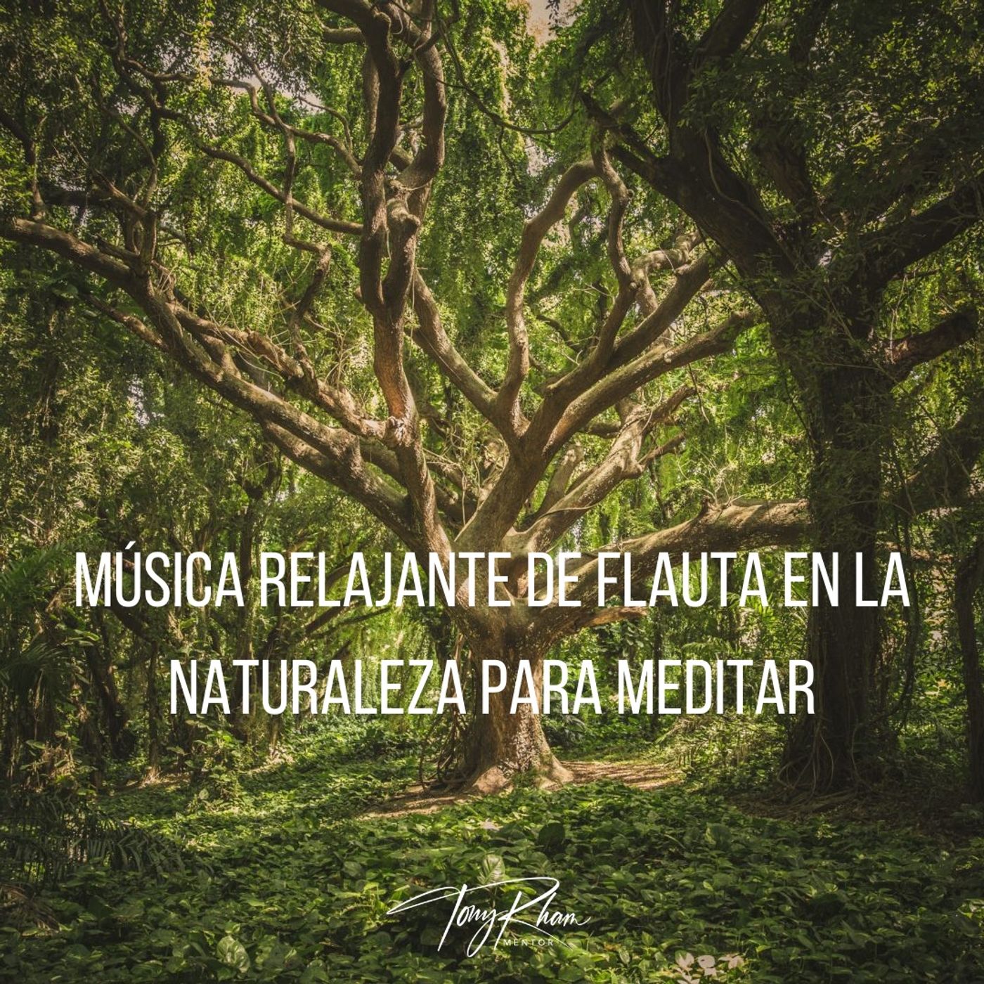 Meditaciones guiadas de Tony Rham, selección