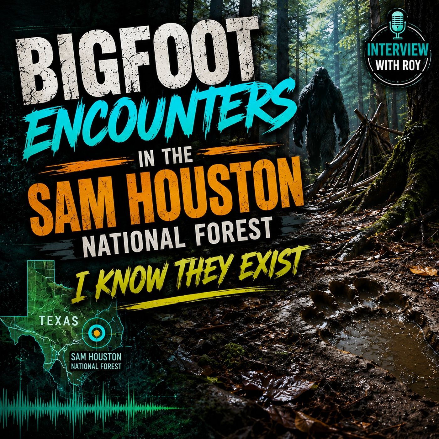 BIGFOOT ENCOUNTERS FROM THE SAM HOUSTON NATIONAL FOREST IN TEXAS | A QUEST TO DISCOVER THE TRUTH