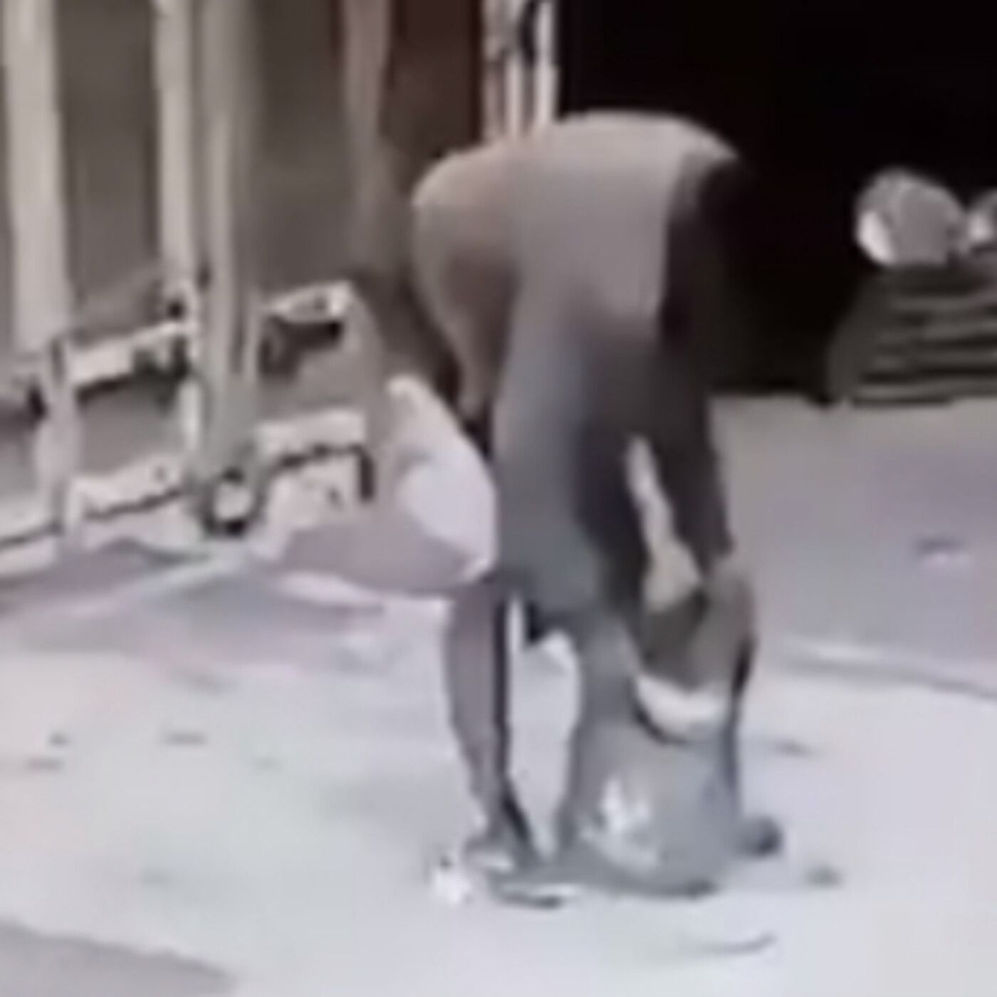 Historias de Miedo Agosto 25 2021 HISTORIAS DE MIEDO REALES QUE PODRÍAN SER UNA PELÍCULA