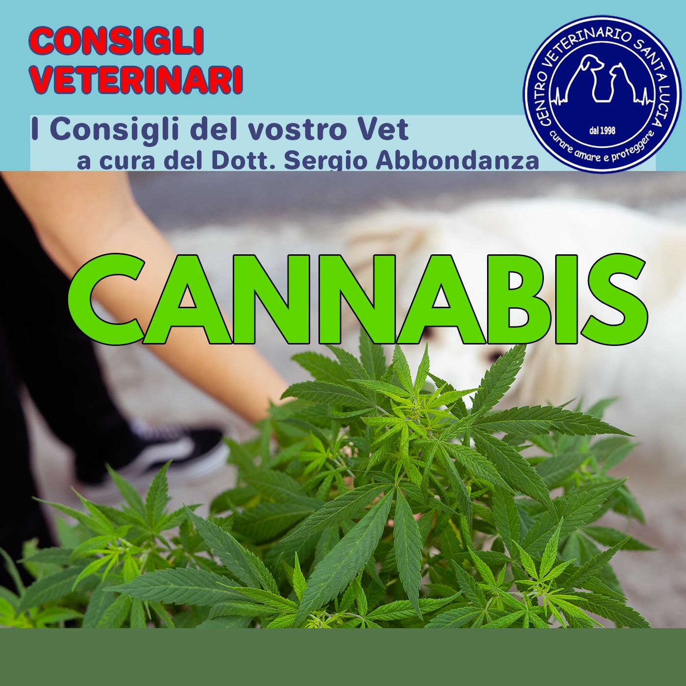 Consigli Veterinari