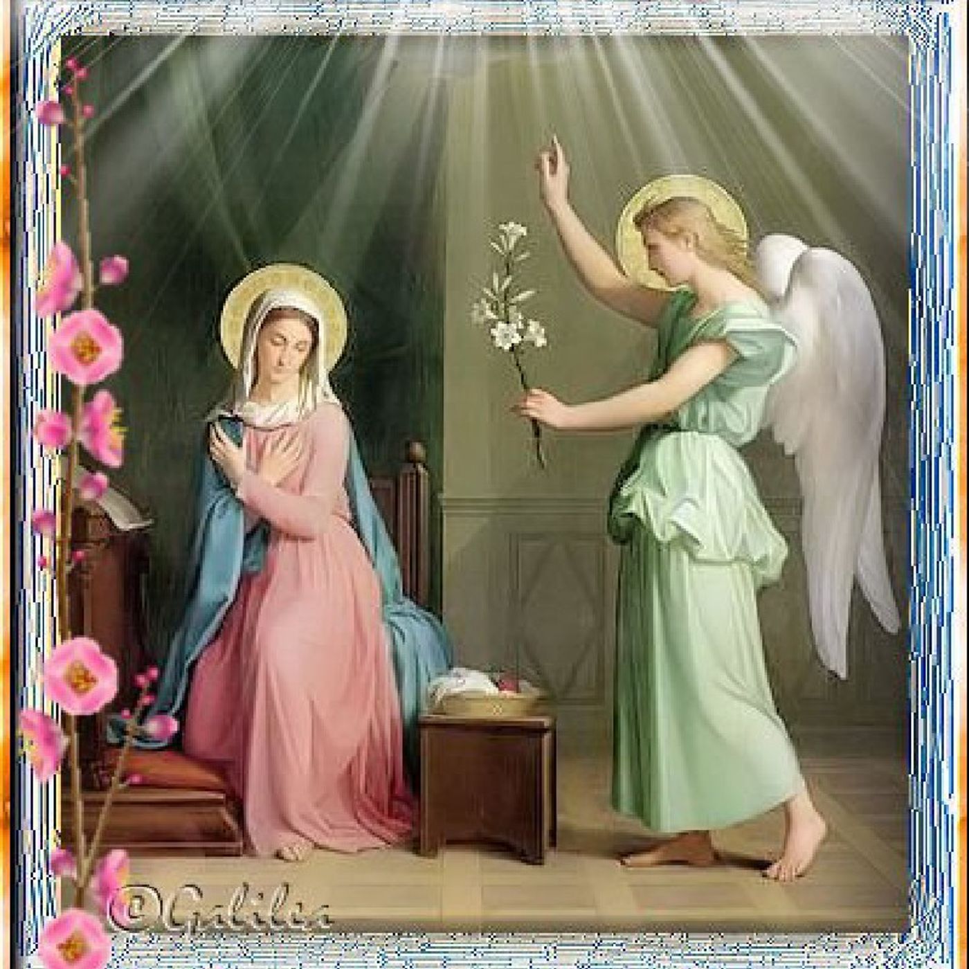 La Reflexión del Día "María Santísima es nuestro modelo" episode artwork