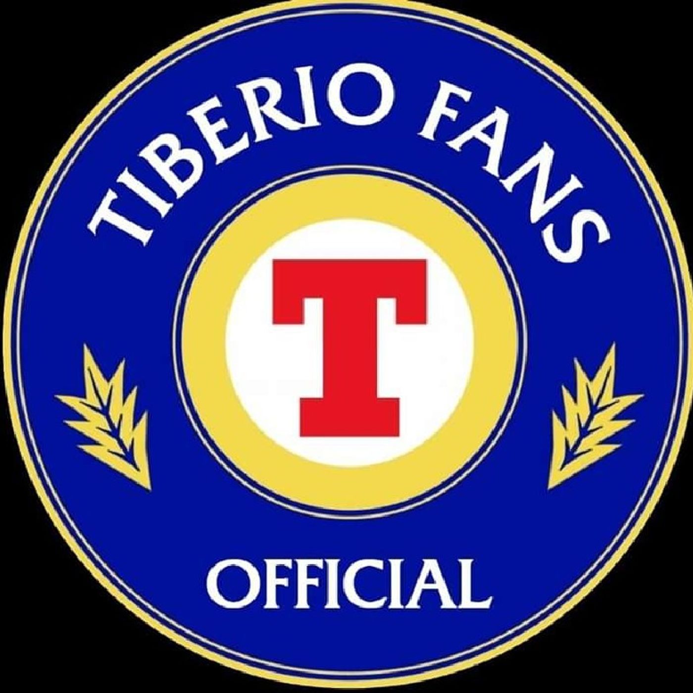 Top HIT ESTIVE 1 - TIBERIO FANS OFFICIAL SHOW episode artwork