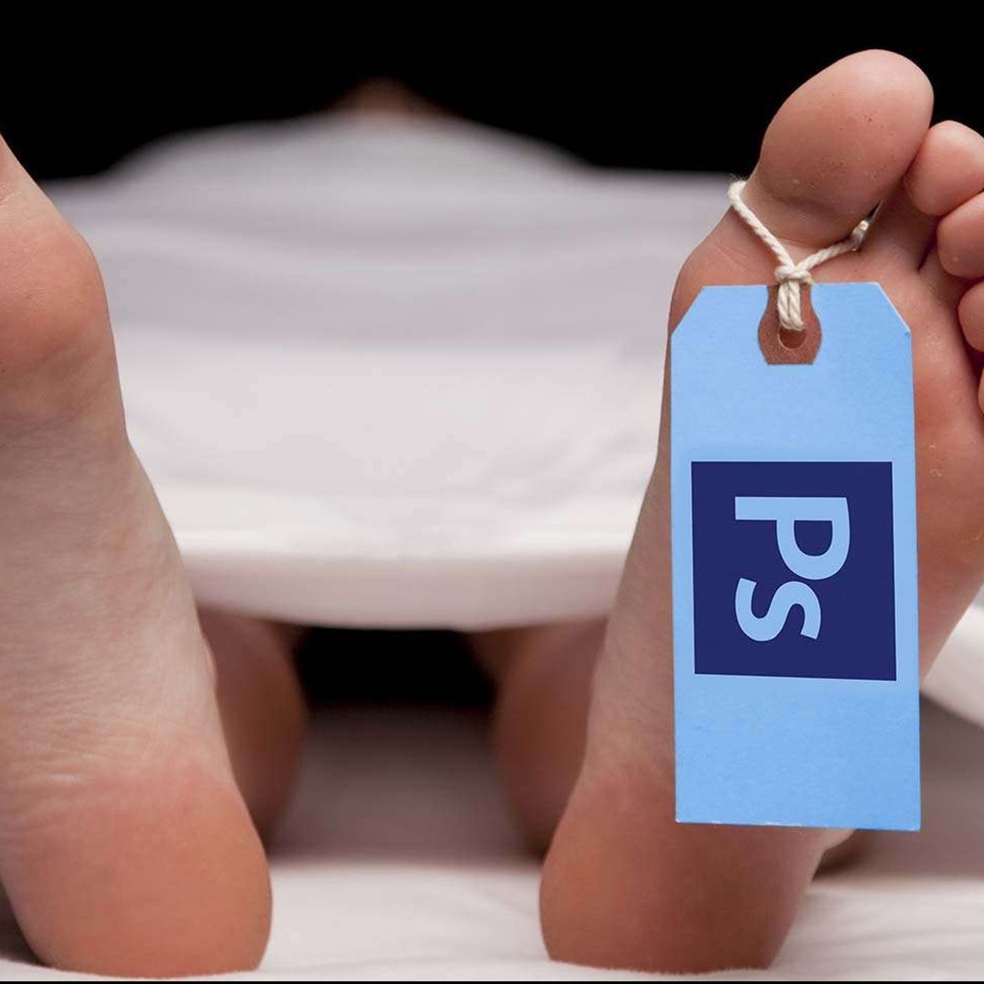 Photoshop Is Dead to me! Use Canva!