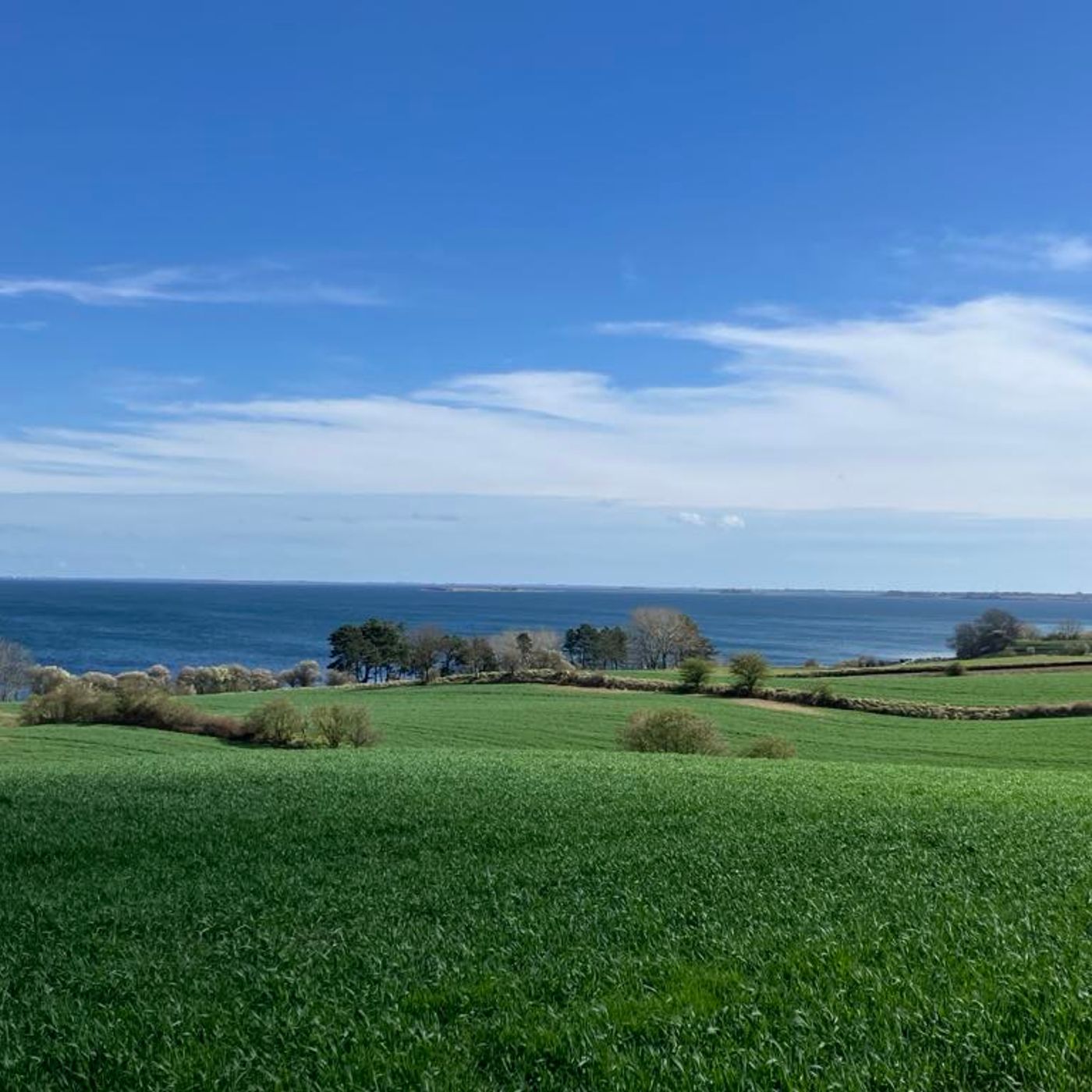 Ærø: Nøgen og usselt klædt episode artwork