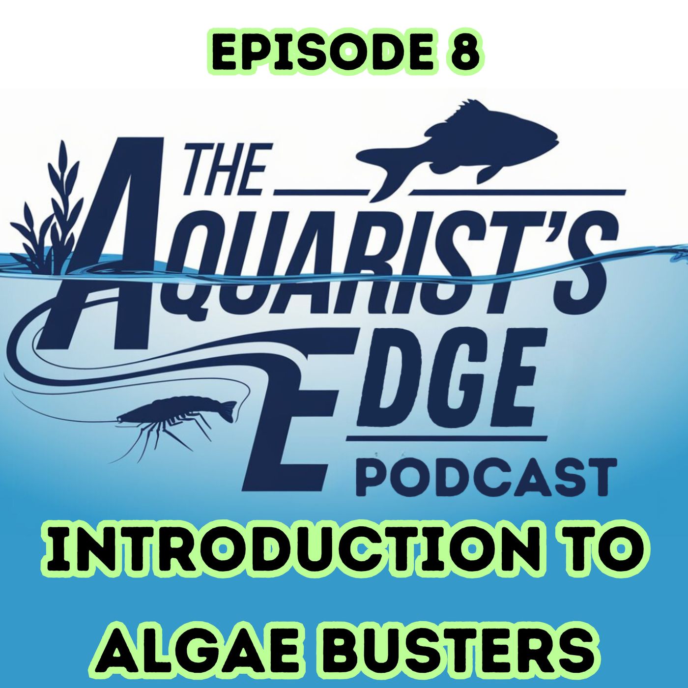 The Aquarist\'s Edge