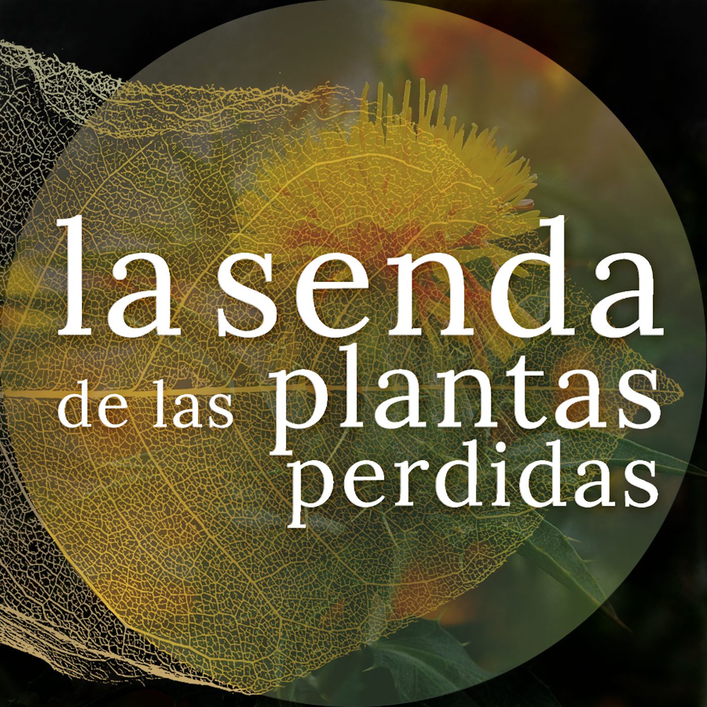 La Senda de las Plantas Perdidas