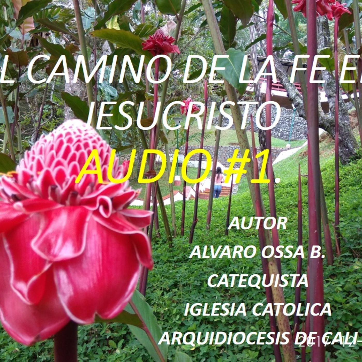 EL CAMINO DE LA FE EN JESUCRISTO