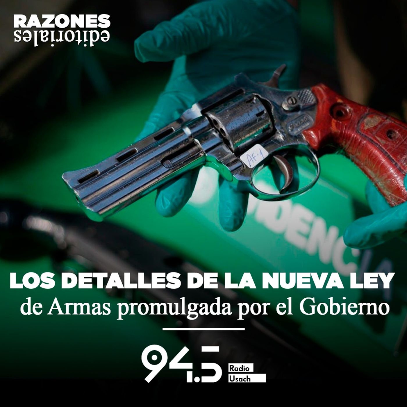 Los detalles de la nueva Ley de Armas promulgada por el Gobierno