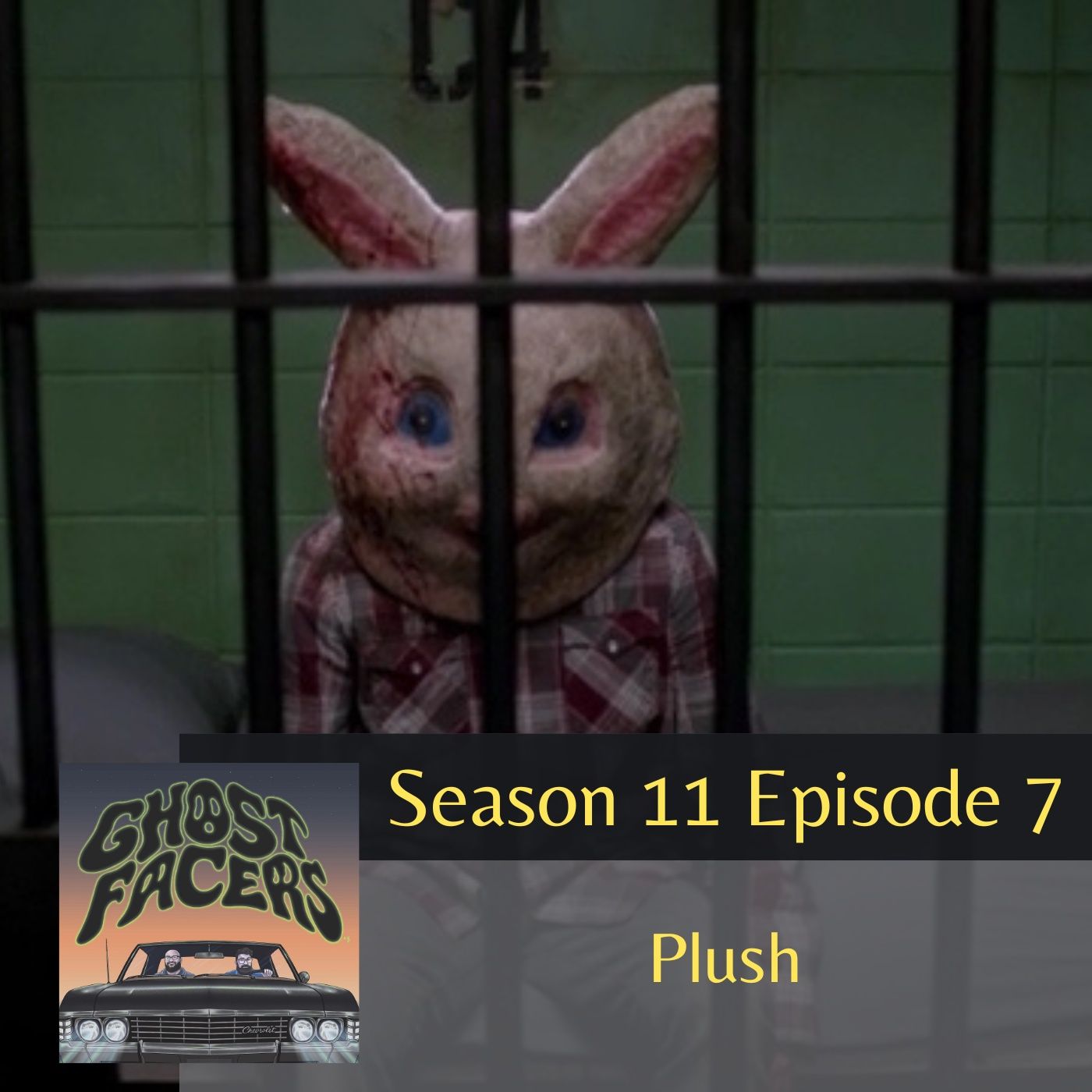 11.07: Plush