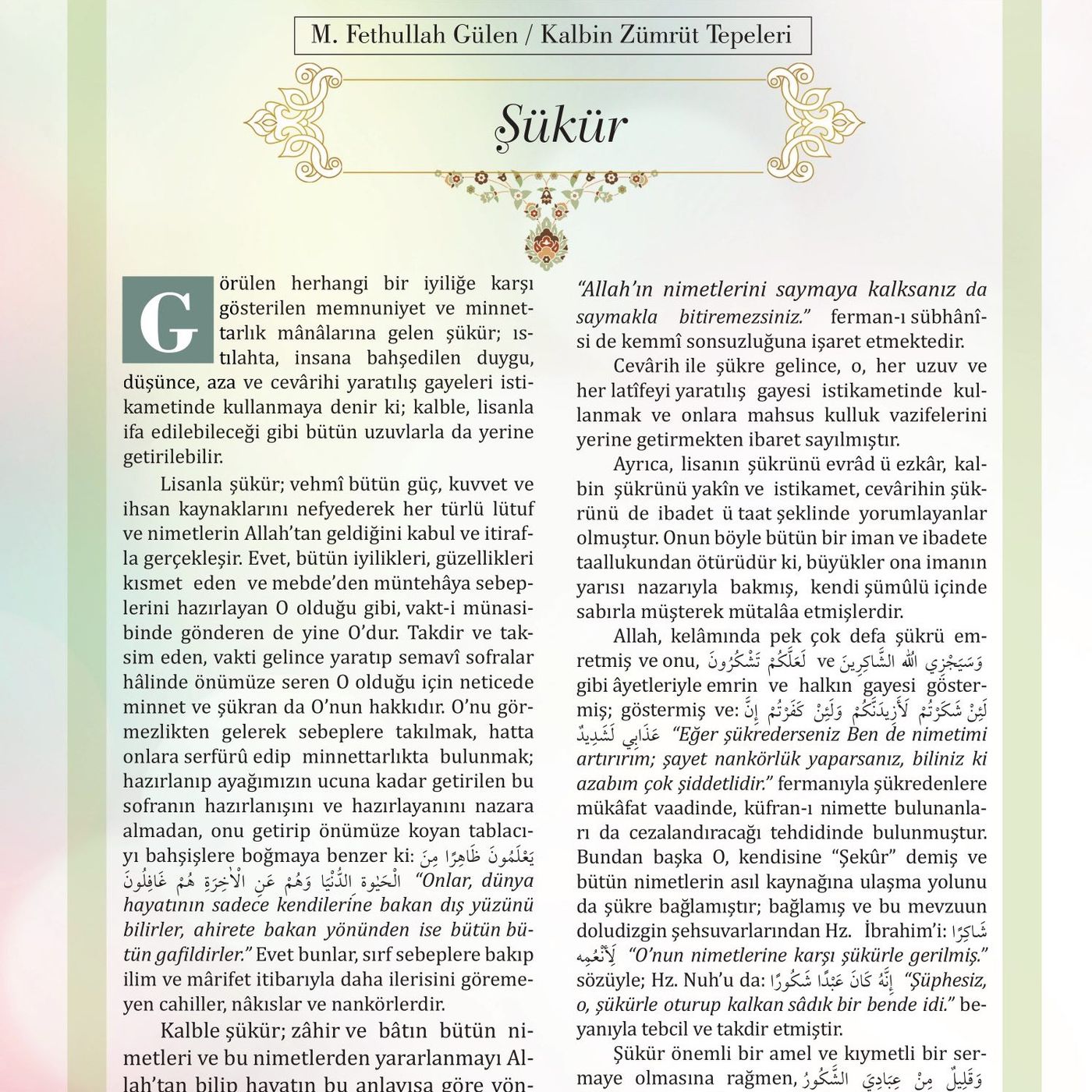 Şükür episode artwork