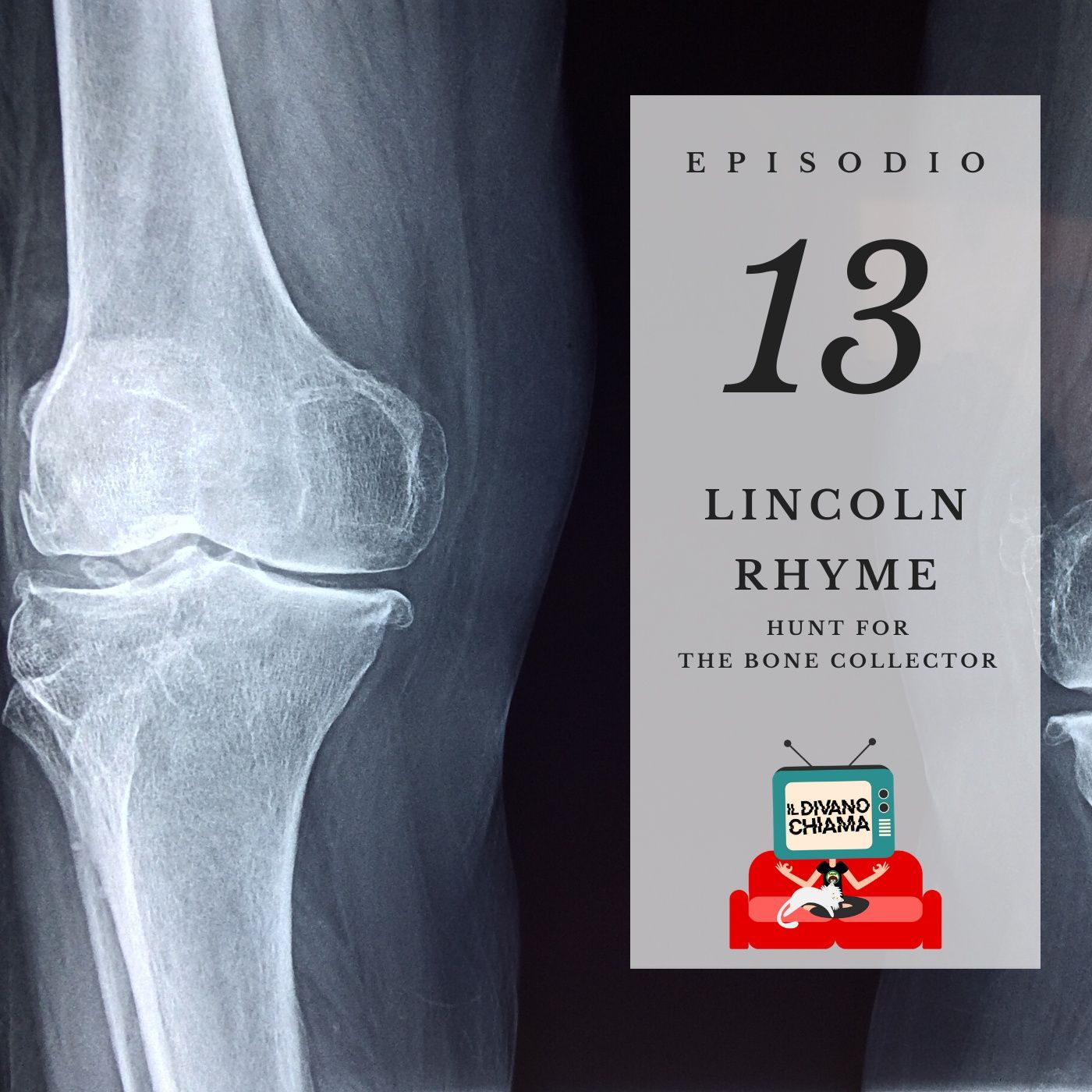 Puntata 13 - Lincoln Rhyme episode artwork