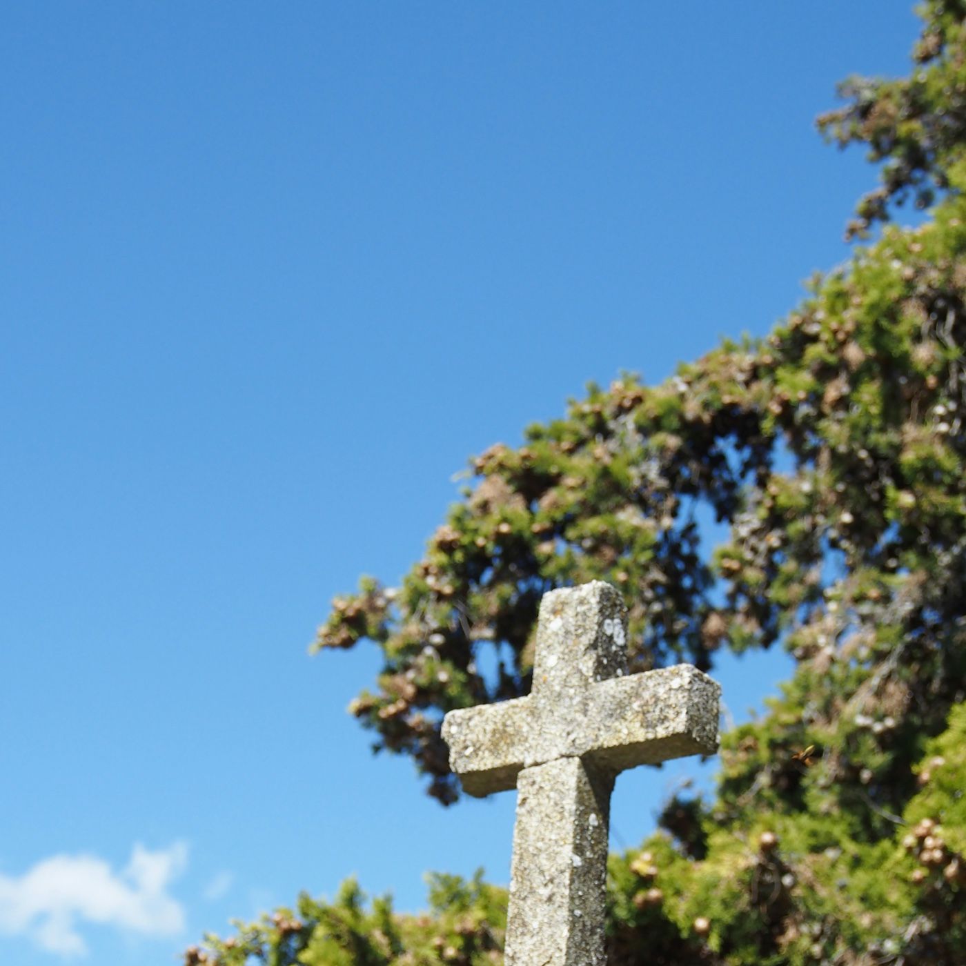 Victory Over Death