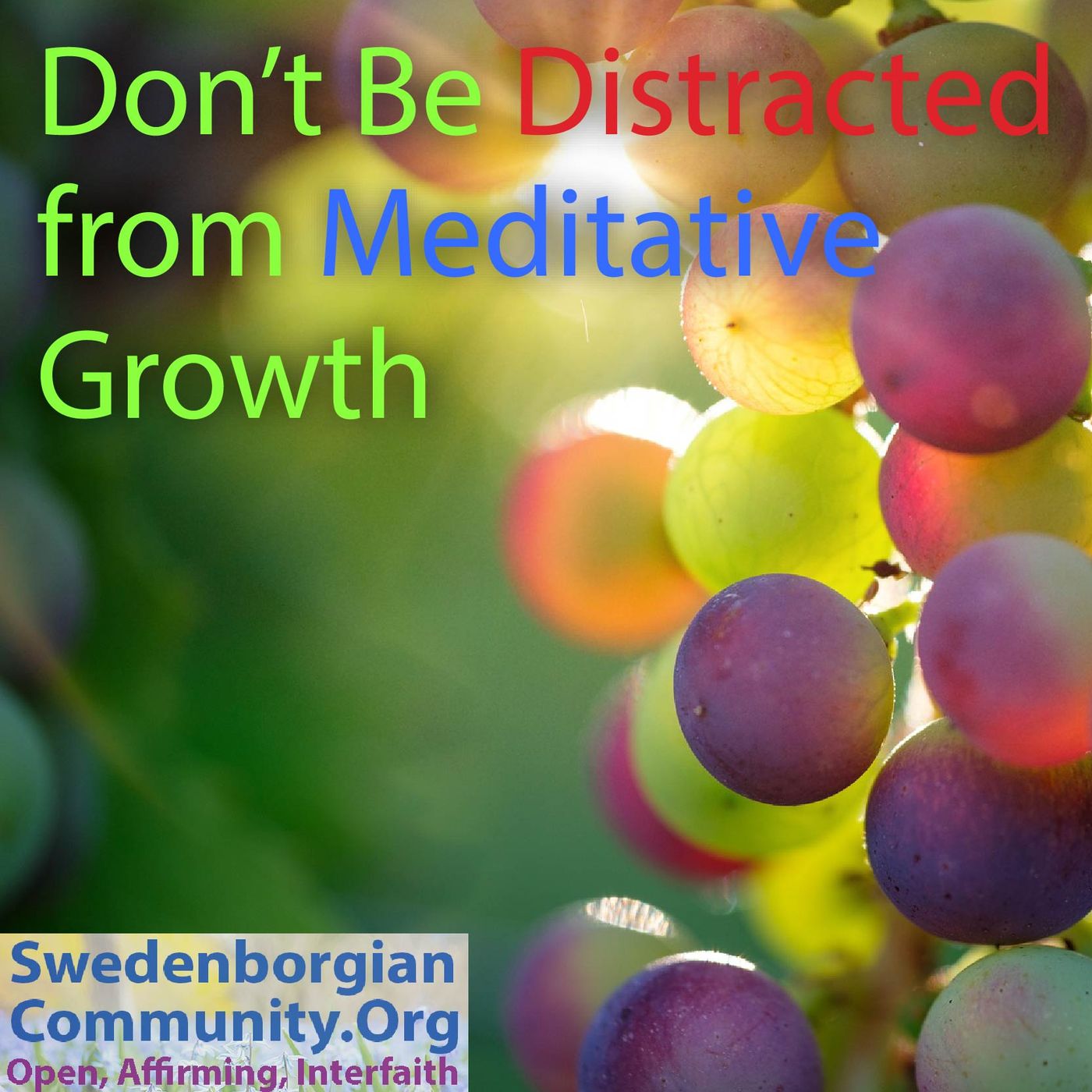 Don't Be Distracted from Meditative Growth - Interfaith-Swedenborgian Reflection with Musical Meditation episode artwork