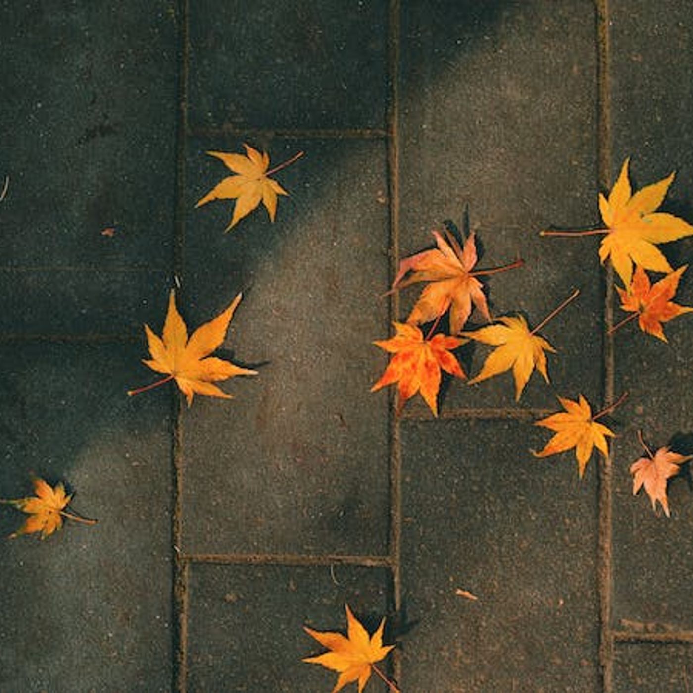 The Two Greatest Questions in the Universe