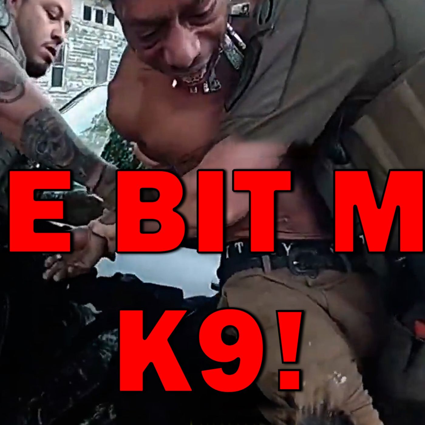 Deranged Bad Guy Bites And Holds Onto K9 During Attempted Arrest On Video! LEO Round Table S11E084 — LEO Round Table cover