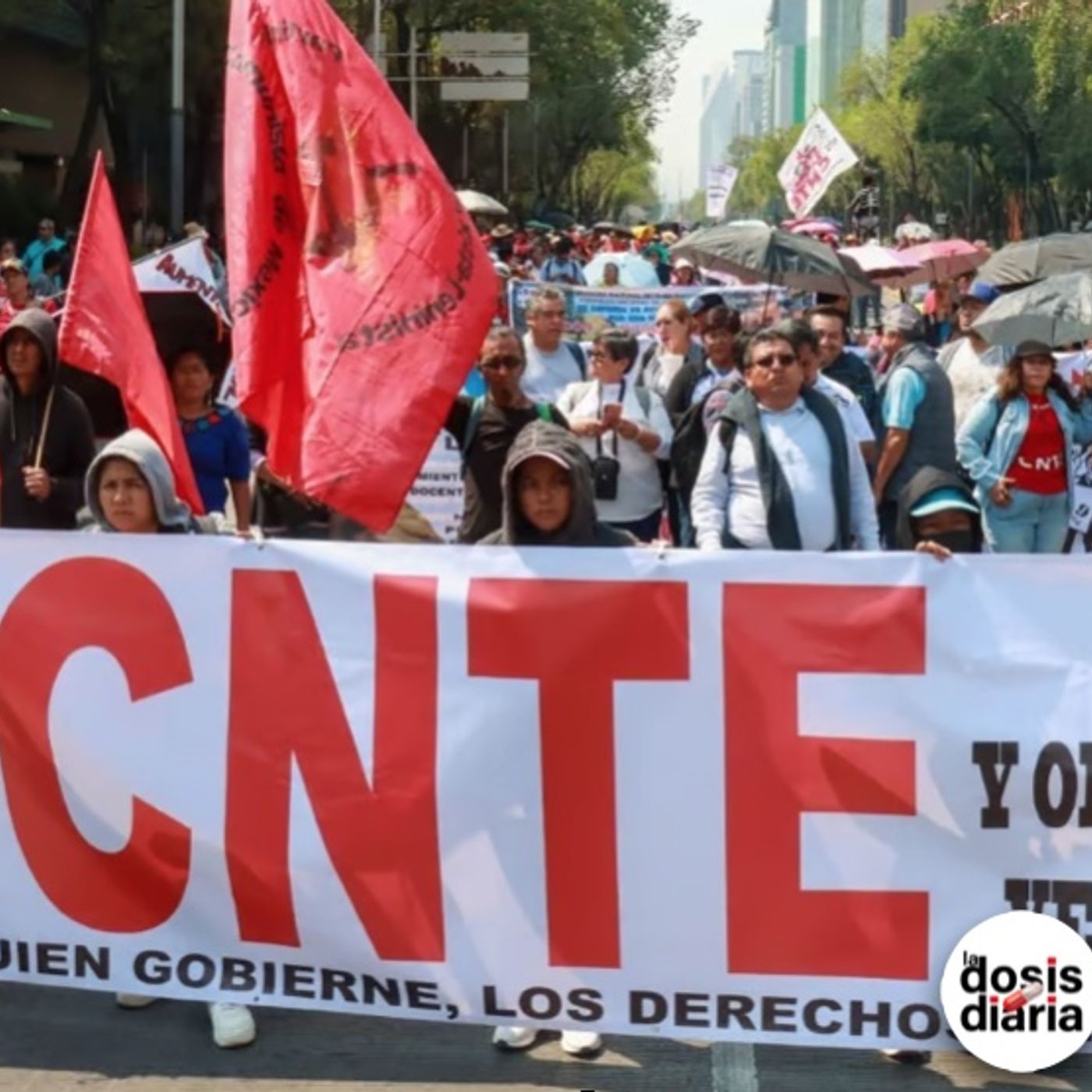 La Dosis Diaria