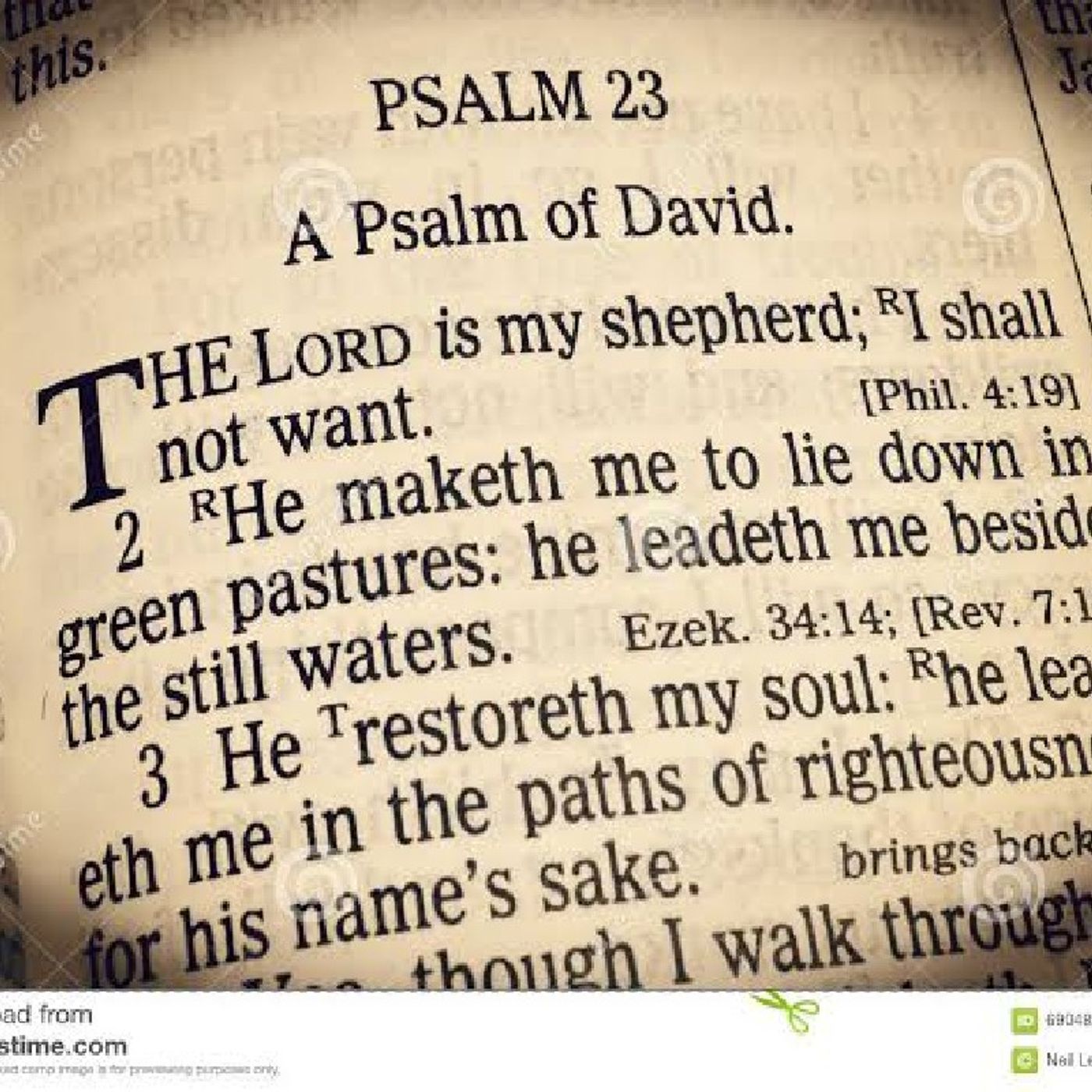 REUBEN DAVID MINISTRIES