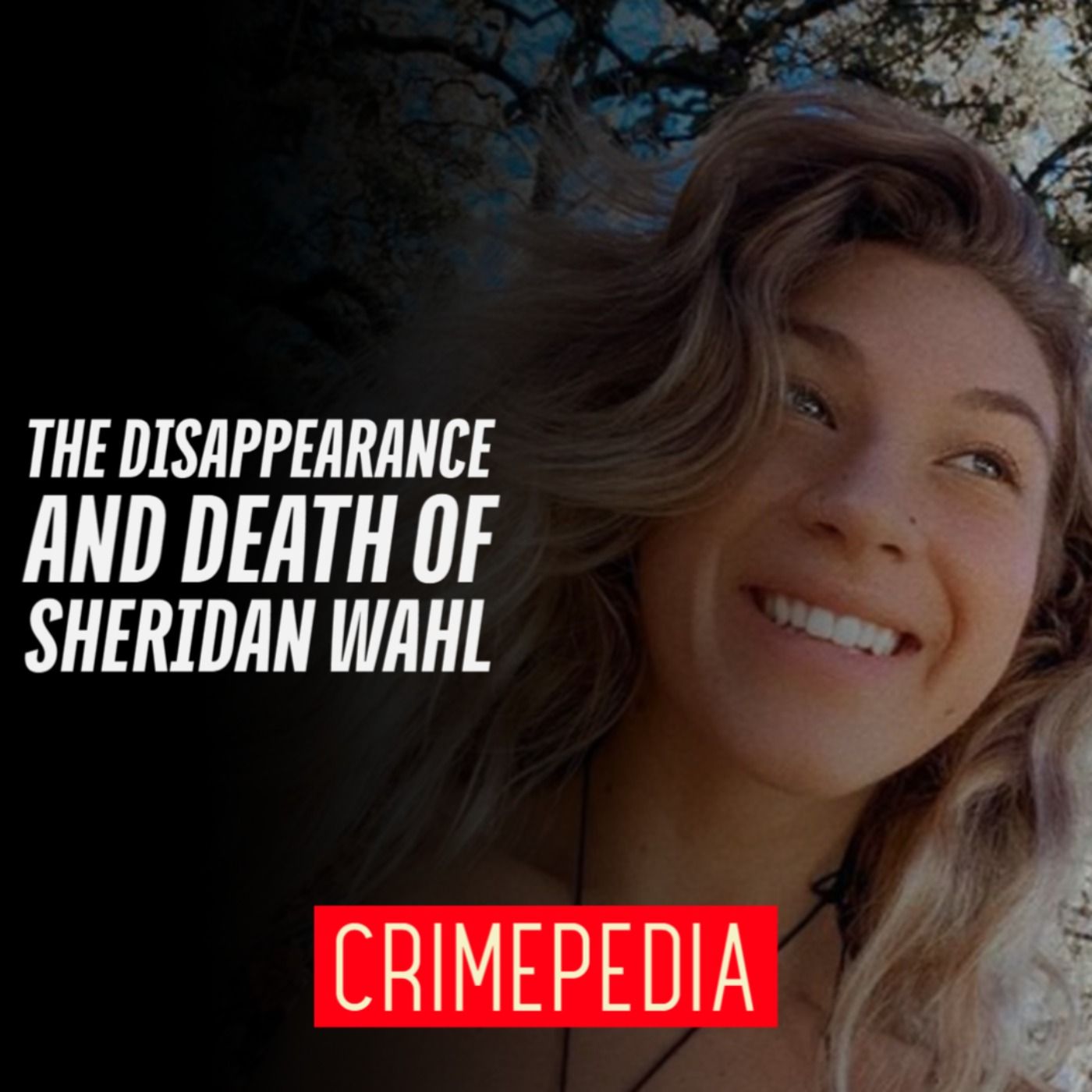 Crimepedia