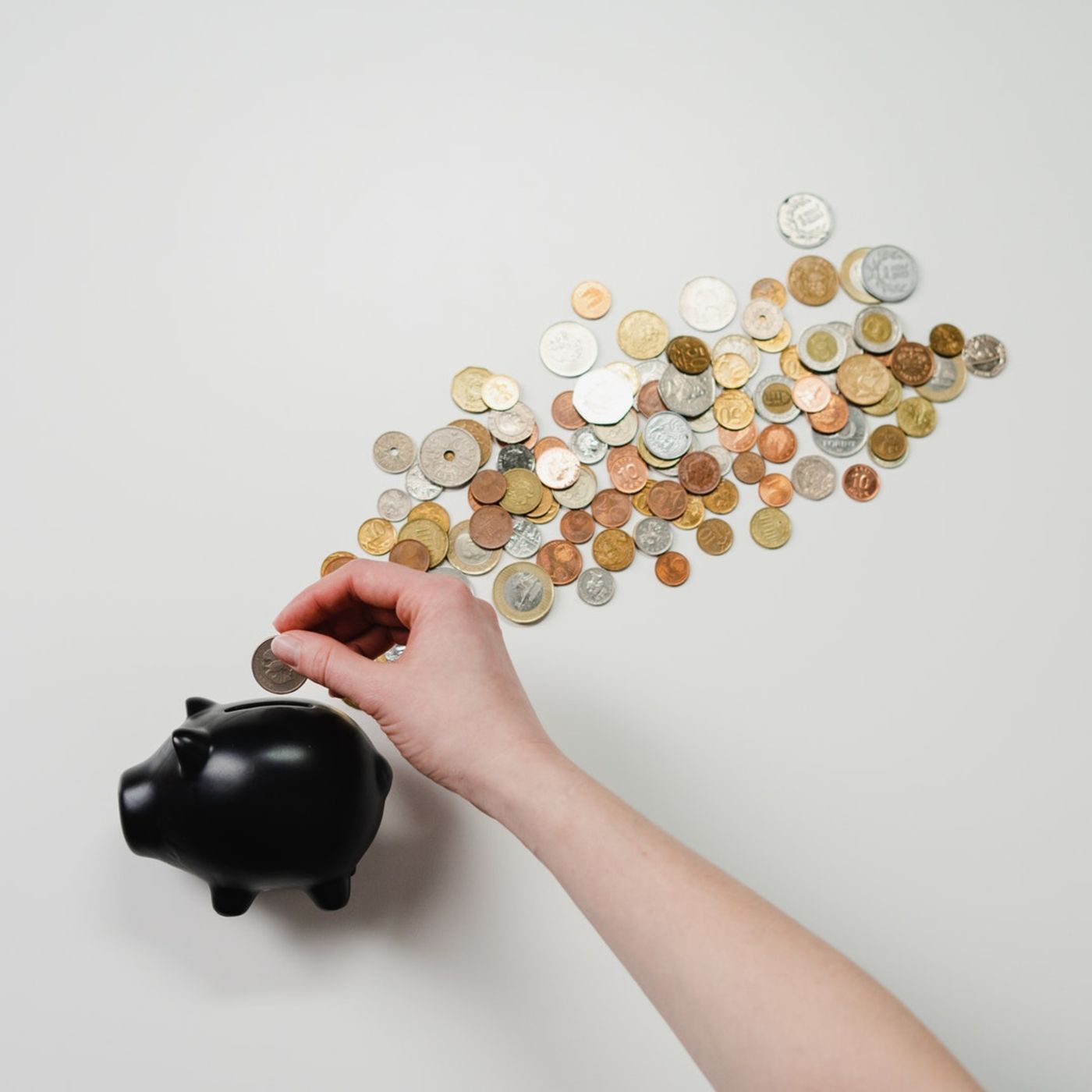 NZ Guide to Financial Freedom