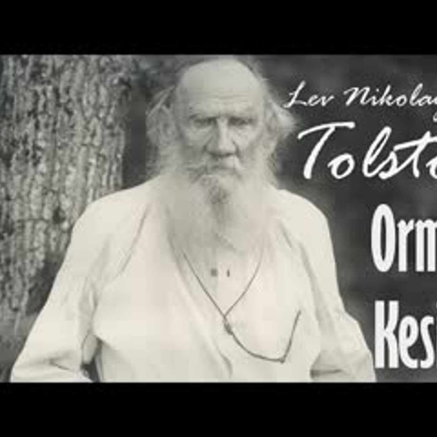 Orman Kesimi  Lev Nikolayeviç TOLSTOY sesli öykü tek parça Akın ALTAN episode artwork