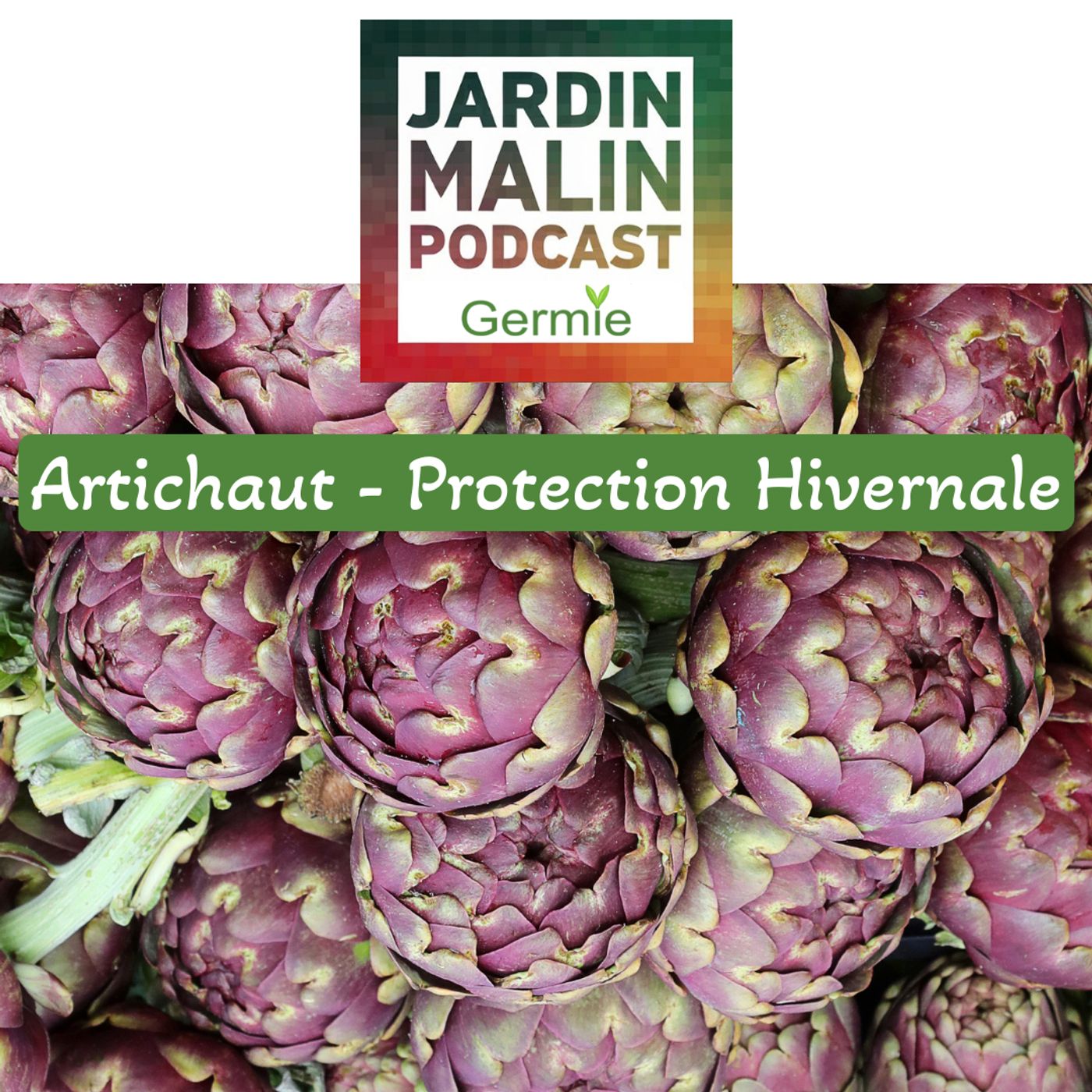 JARDIN MALIN by Germie
