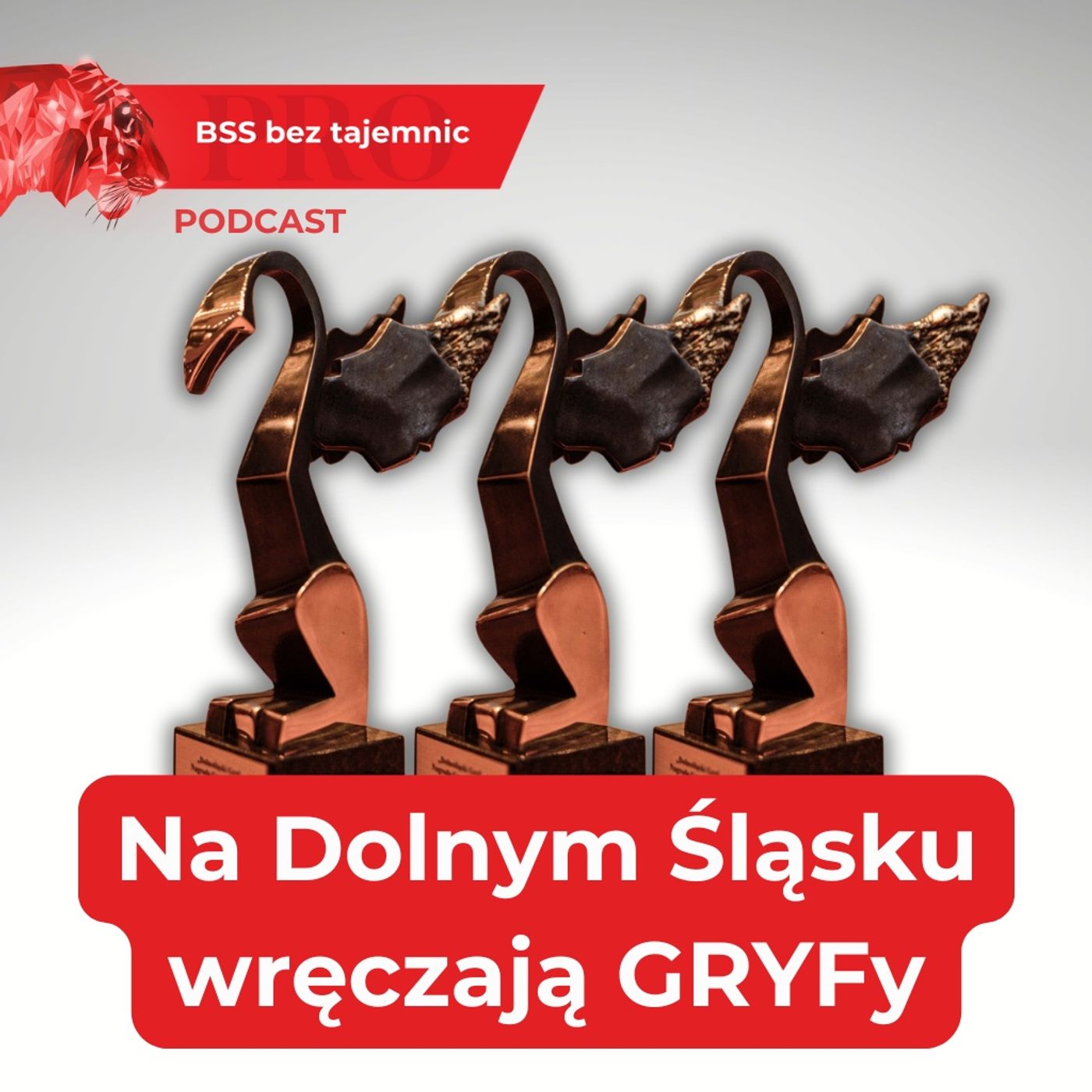 Dolnośląski Gryf – jak biznes, nauka i samorząd tworzą wspólny sukces regionu Dolnośląski Gryf – jak biznes, nauka i samorząd tworzą wspólny sukces regionu