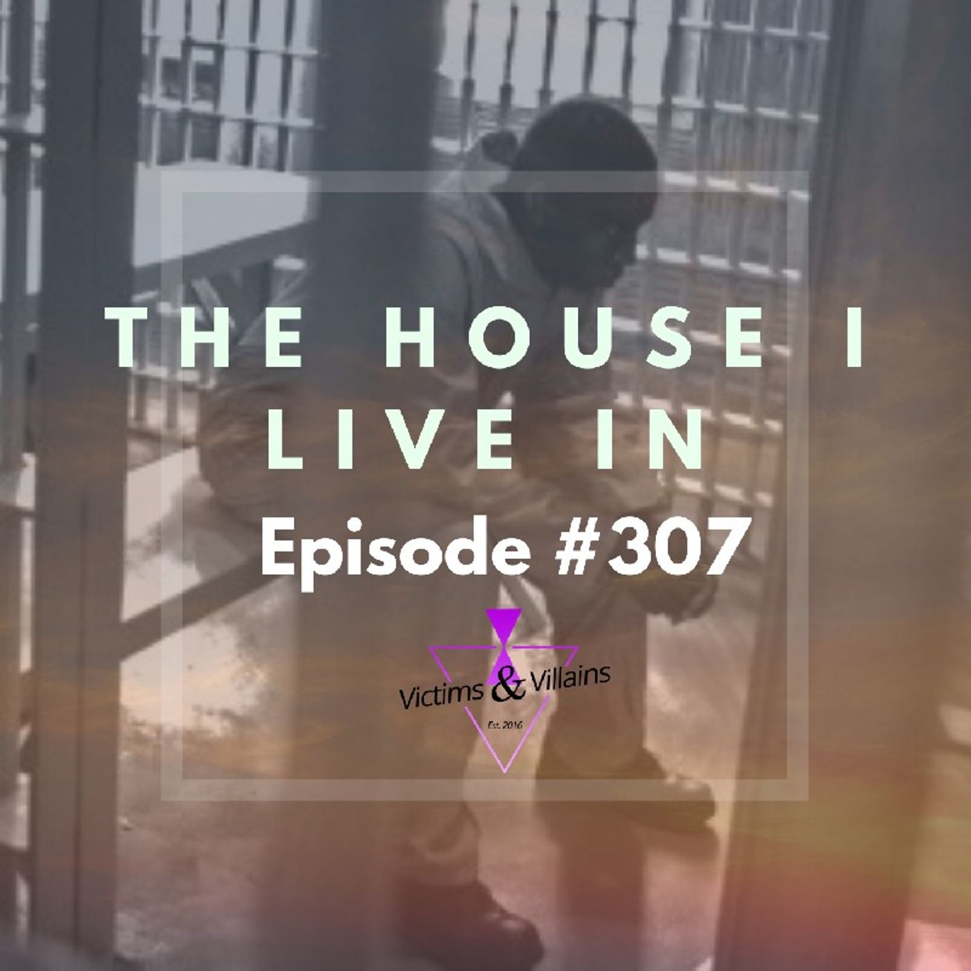 #307 I  The House I Live In (Black Lives Matter, Chapter Six) episode artwork