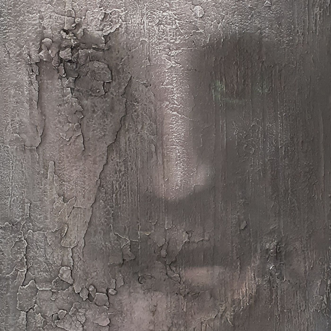 CARLO ALBERTO VANDELLI - Ritratto di un silenzio che sfoglia la pelle episode artwork