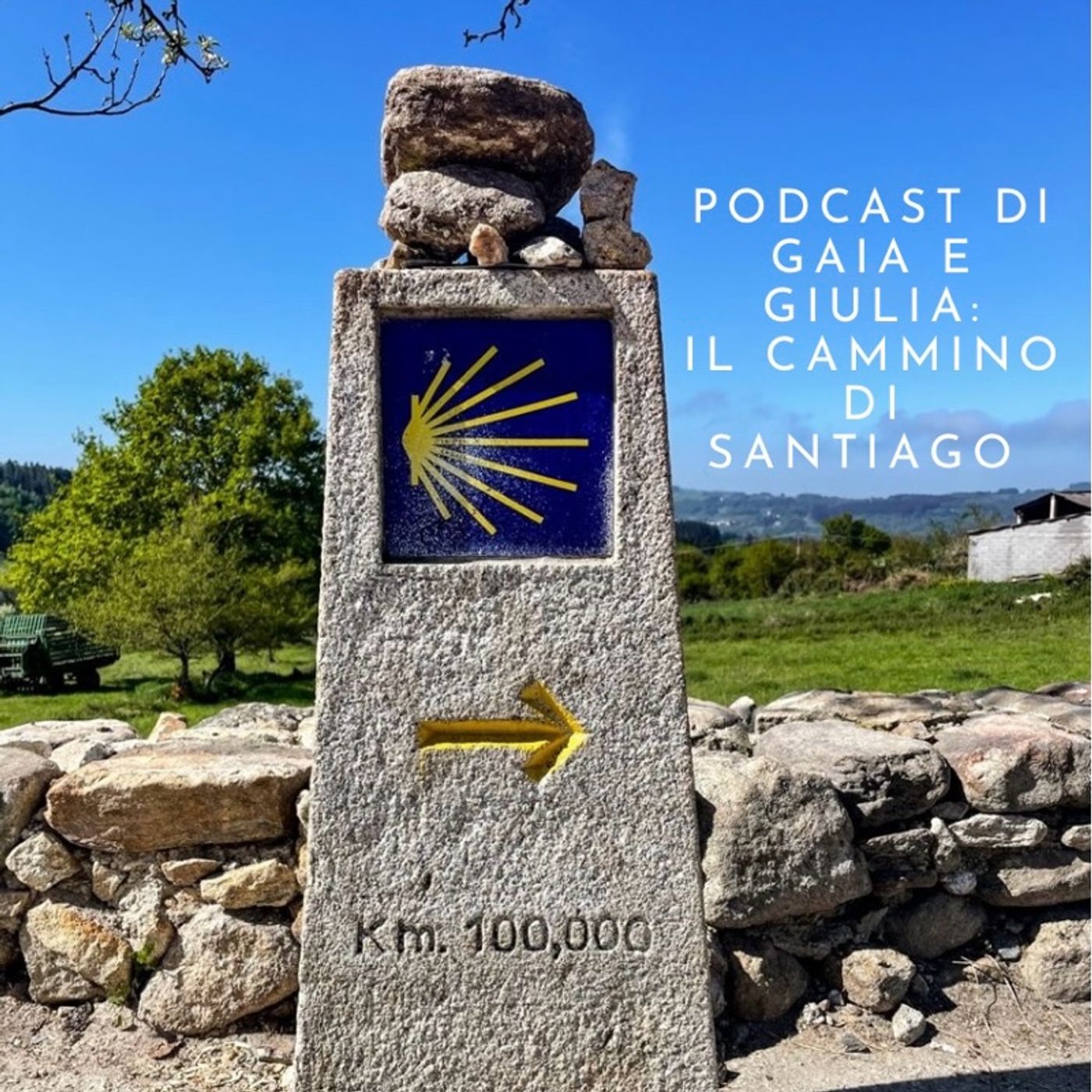 Il Cammino di Santiago episode artwork