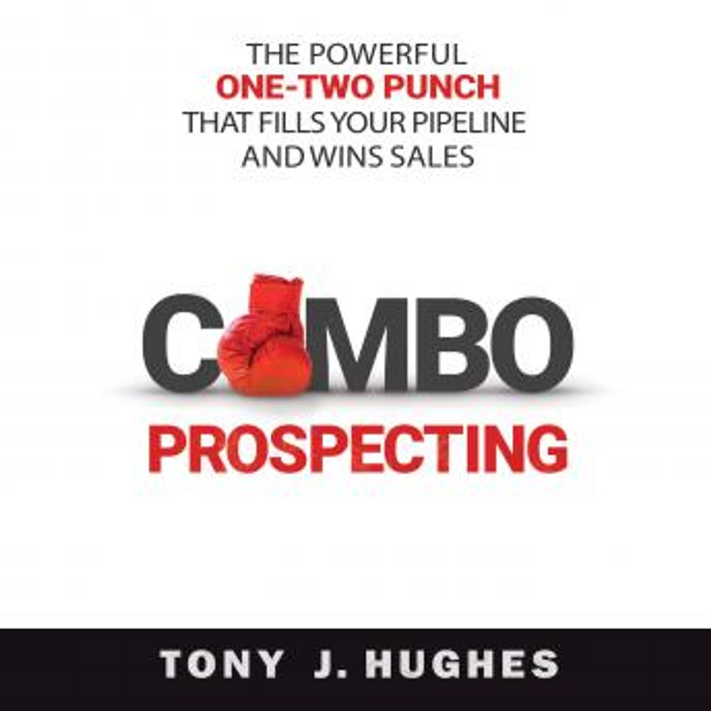 Combo Prospecting: The Powerful One-Two Punch That Fills Your Pipeline and Wins Sales by Tony J. Hughes episode artwork