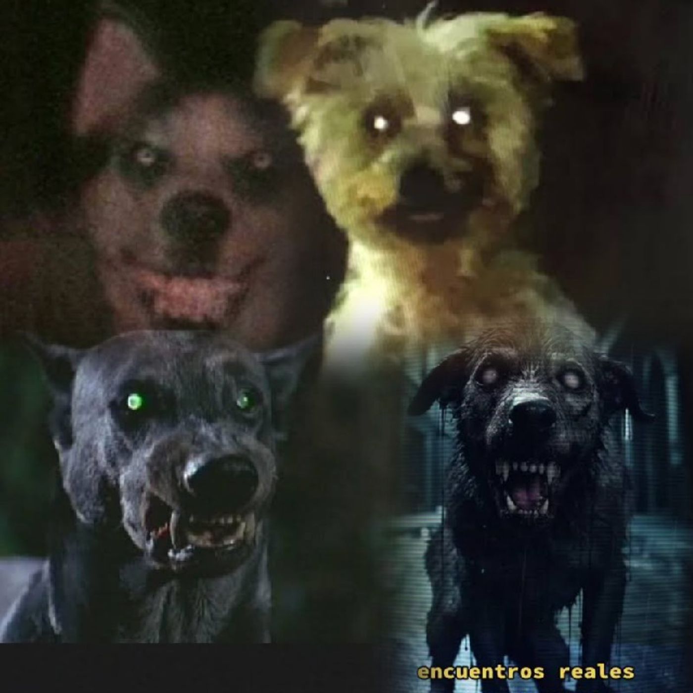 Paranormal y Antiguo