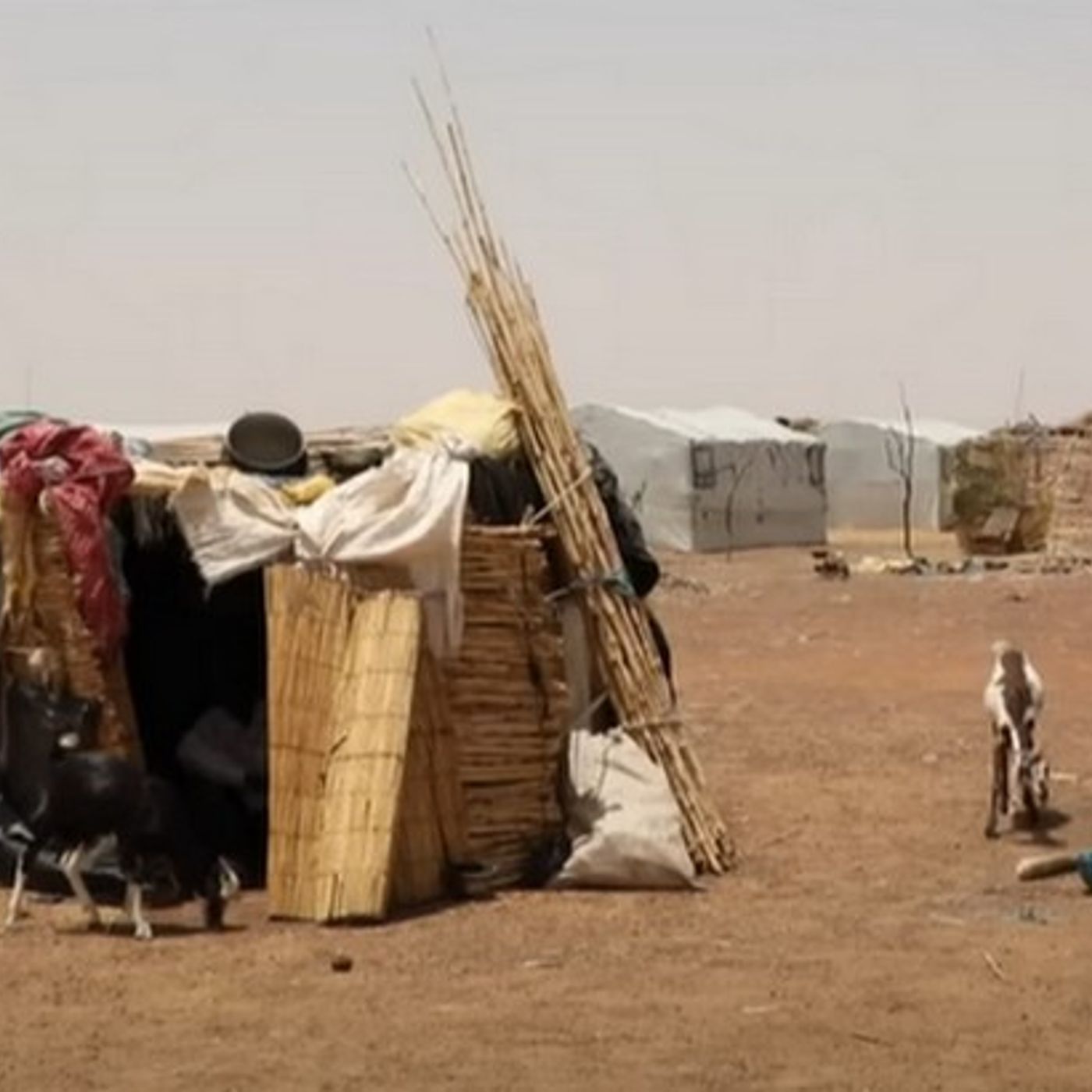 29 agosto 2024 - Notiziario Africa episode artwork