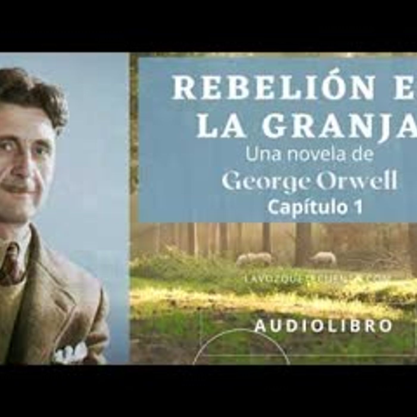 Audiolibro En Español