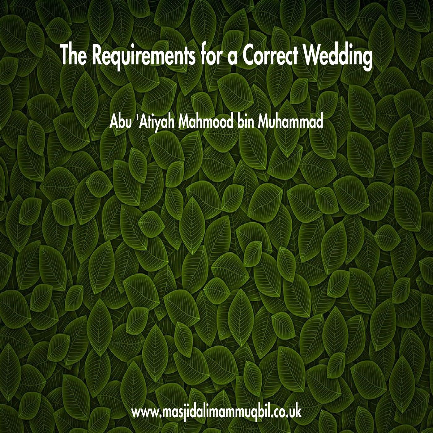 The Requirements for a Correct Wedding | Abu 'Atiyah Mahmood bin Muhammad episode artwork