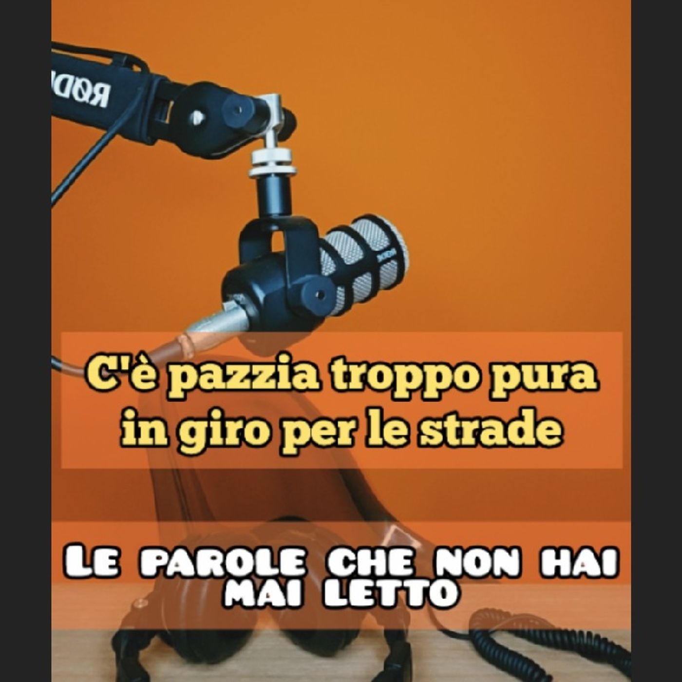 Episodio 1794 - C'è pazzia troppo pura in giro per le strade Episodio 1794 - C'è pazzia troppo pura in giro per le strade