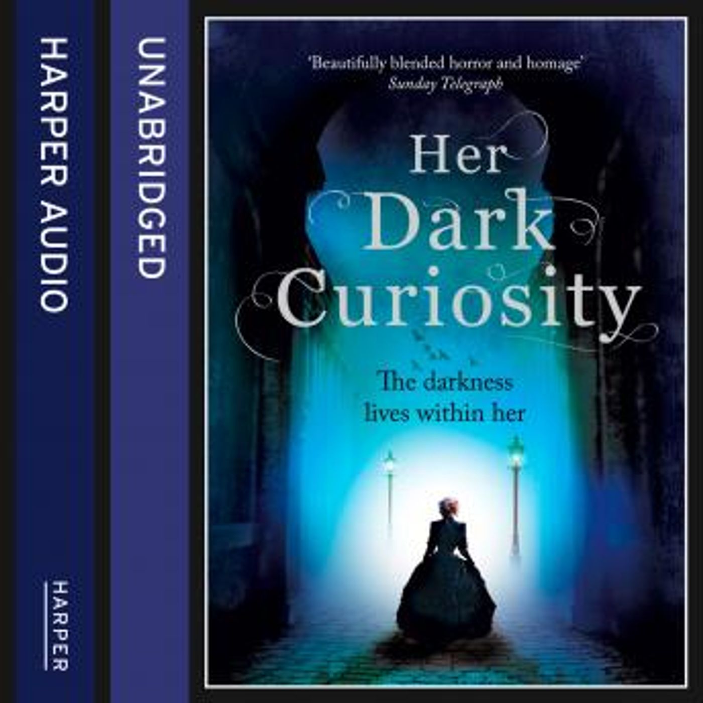 Her Dark Curiosity by Megan Shepherd episode artwork