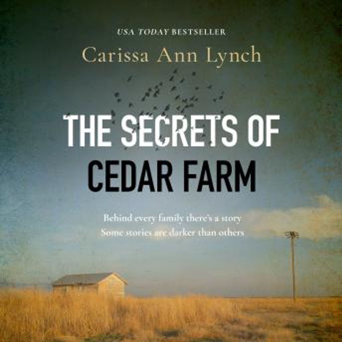 Get Best Audiobooks in Mystery, Thriller & Horror, Suspense