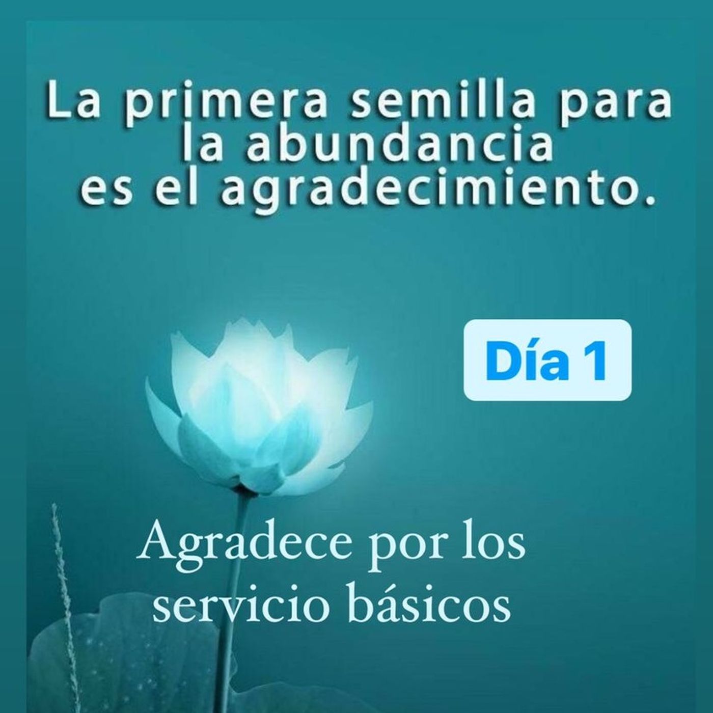 Cuidando Tus Pasos 365 podcast artwork