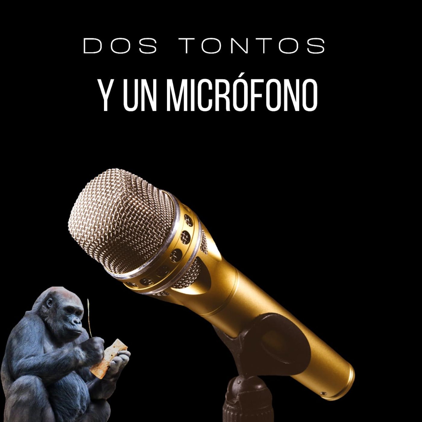 Dos tontos y un microfono