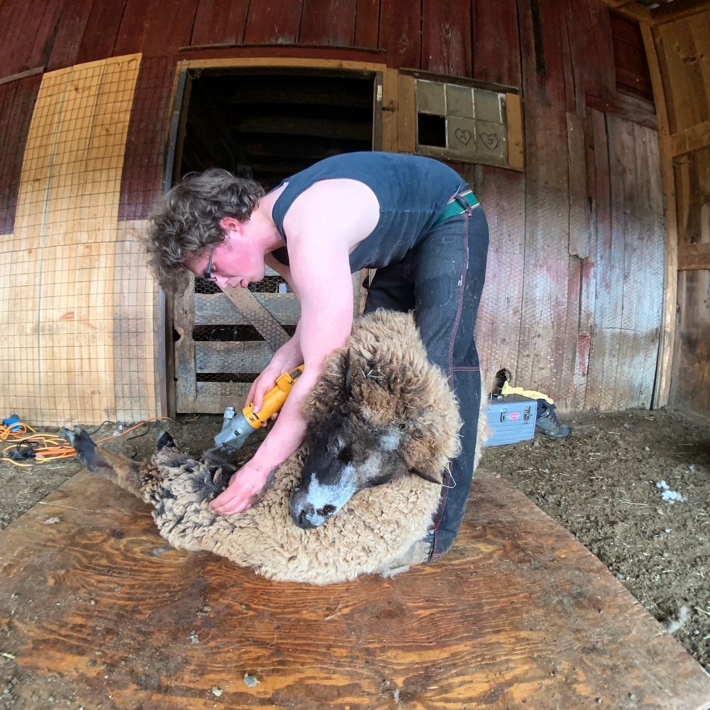 Katz and Wulf on Bedlam Farm