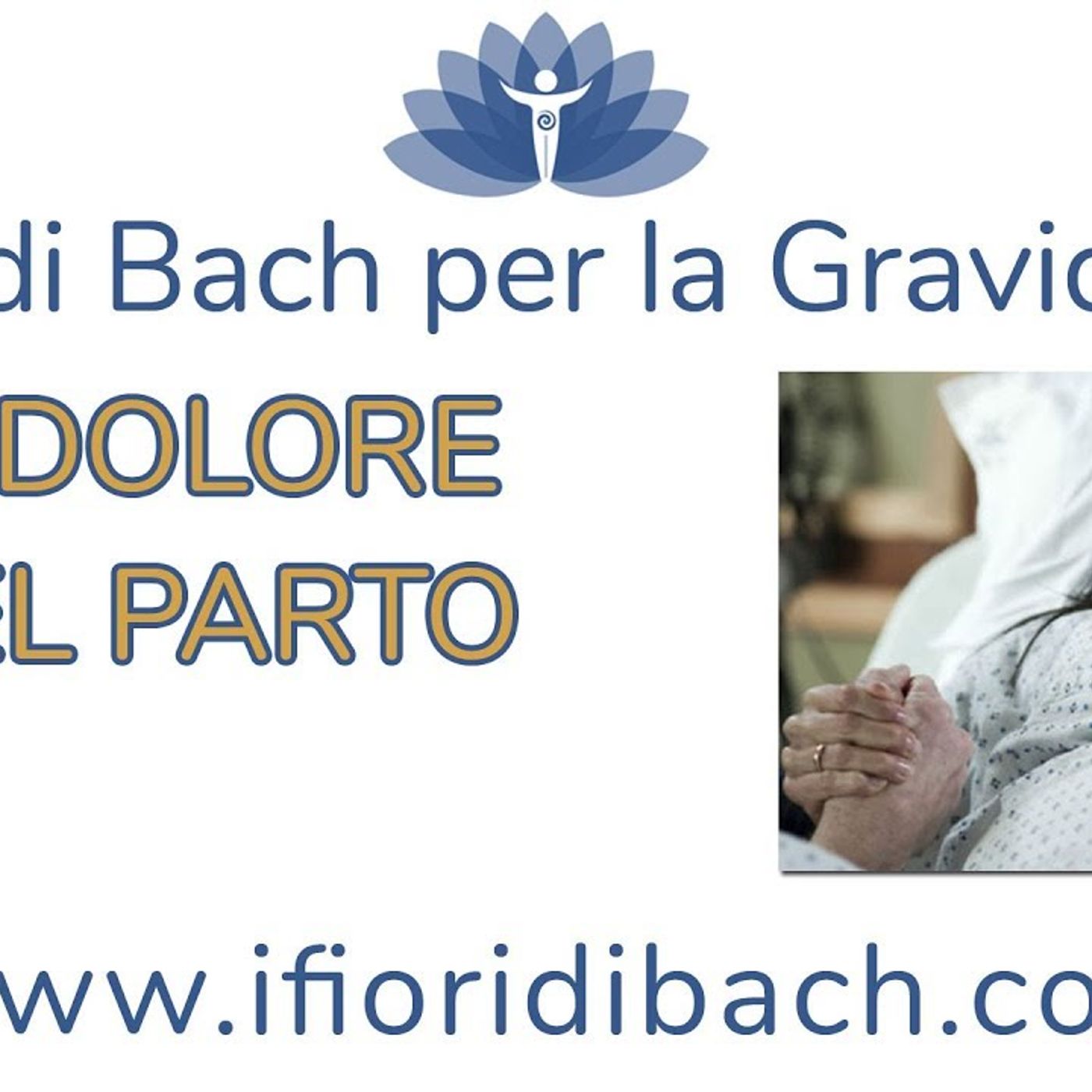 Fiori di Bach in pillole