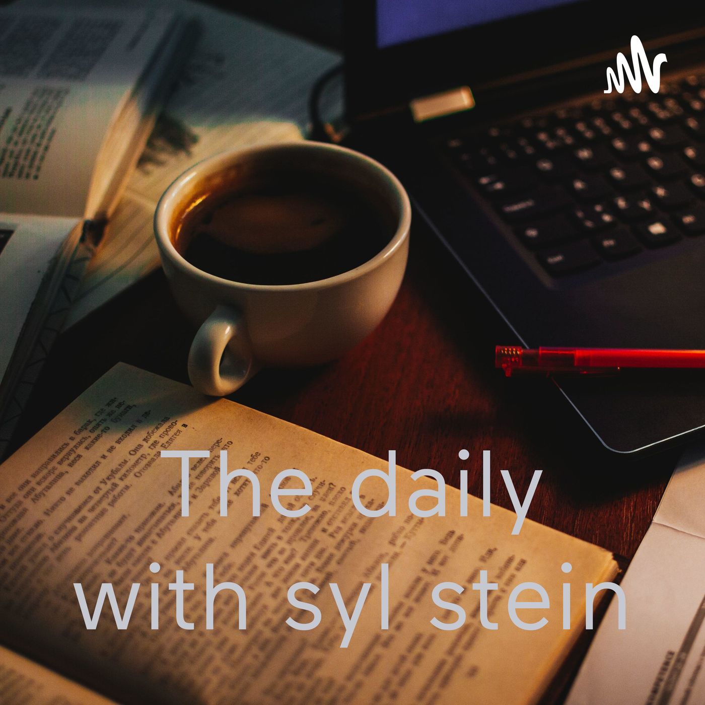 The daily with syl stein